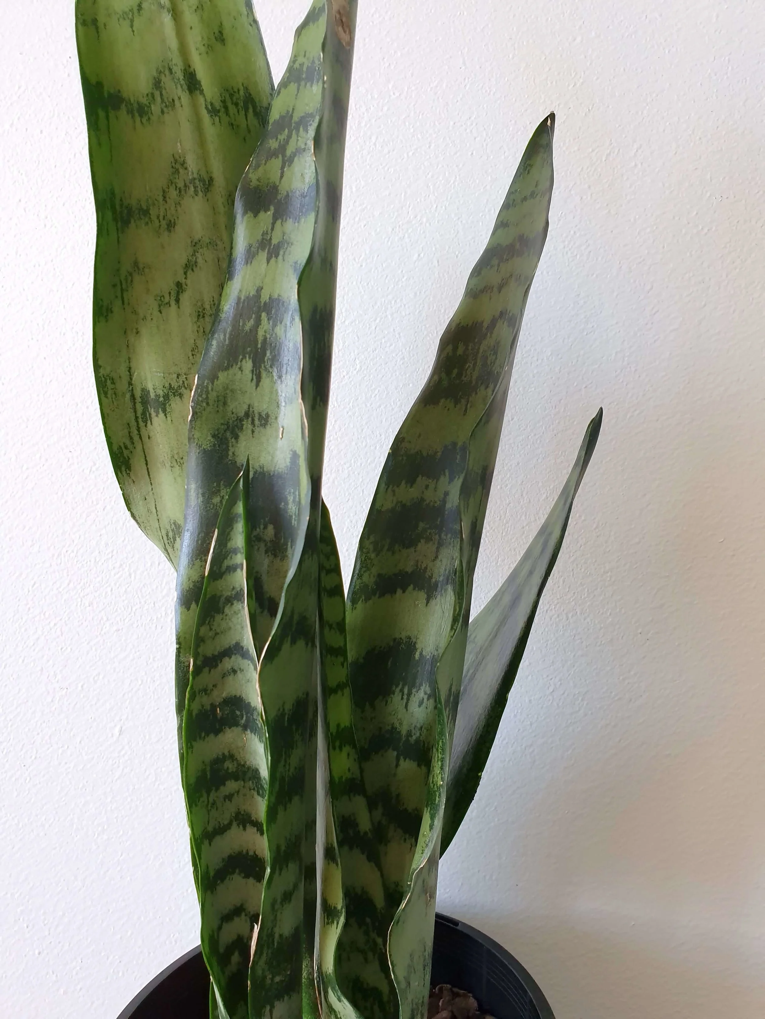 20190906_110055 copy.jpg