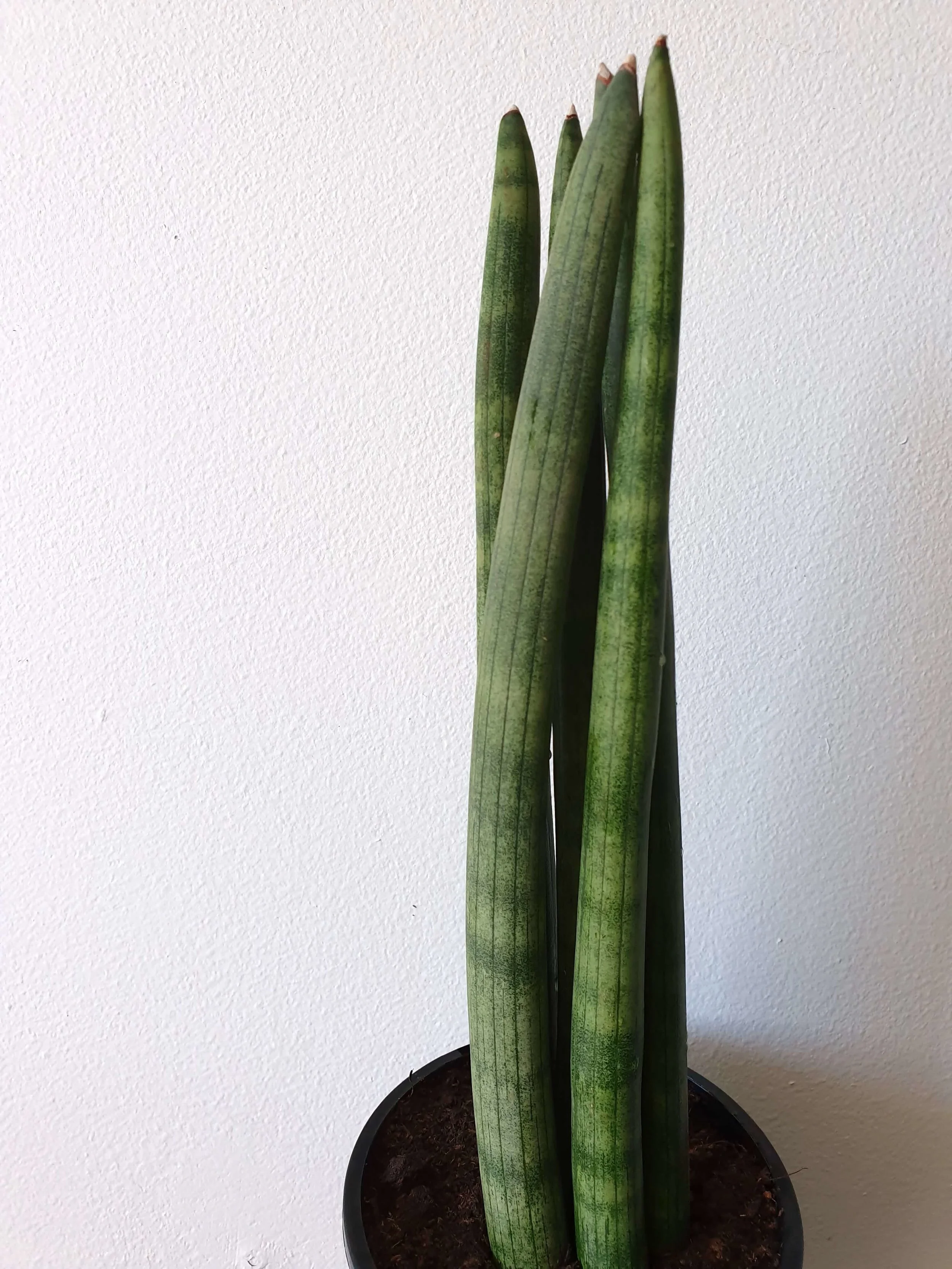 20190906_105313 copy.jpg