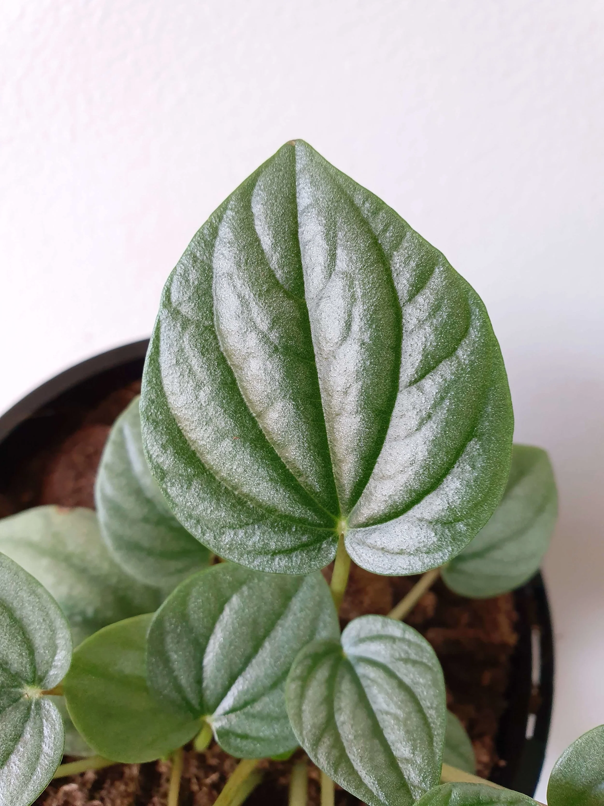 20190906_104125 copy.jpg