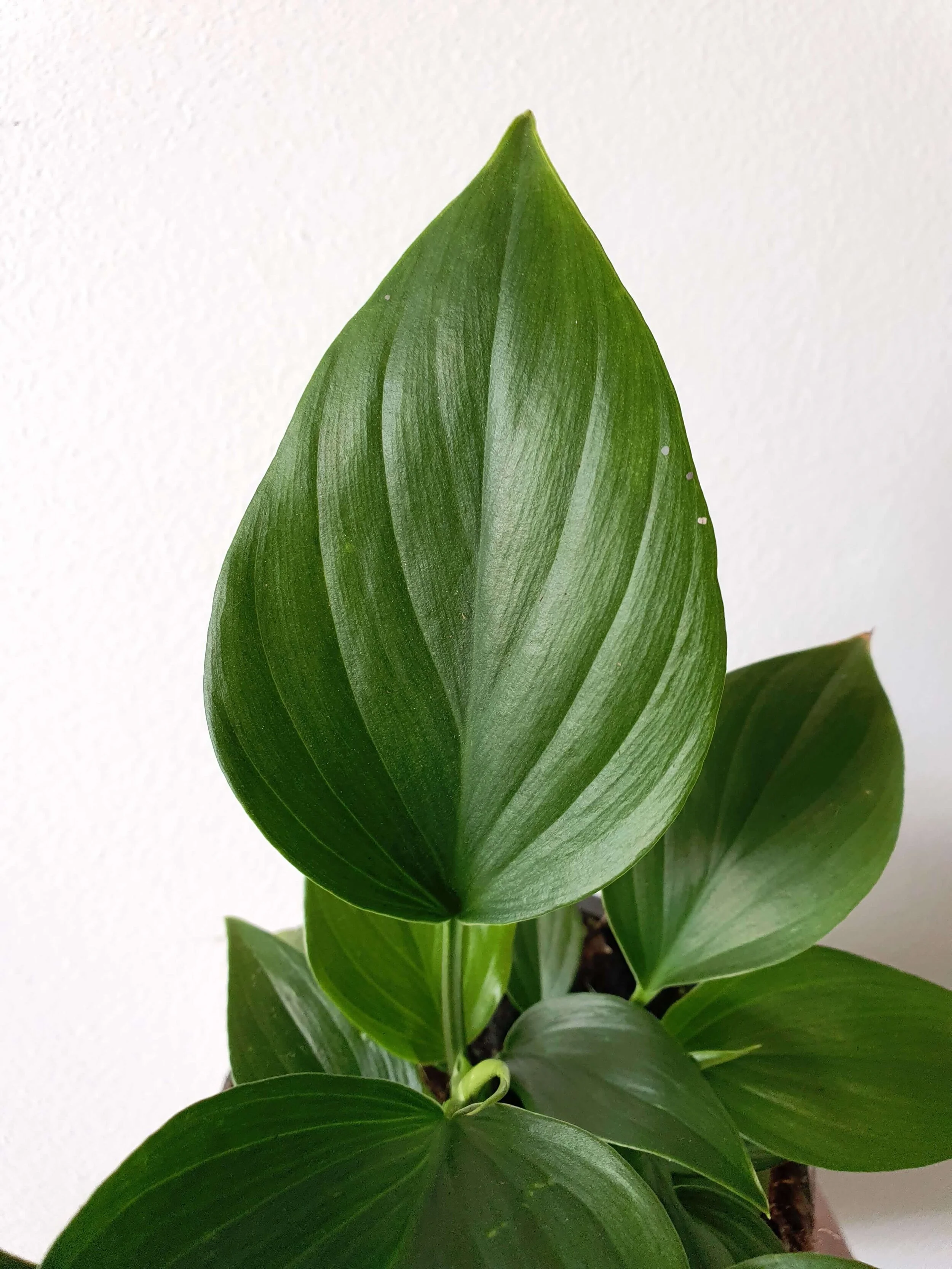 20190913_110908 copy.jpg