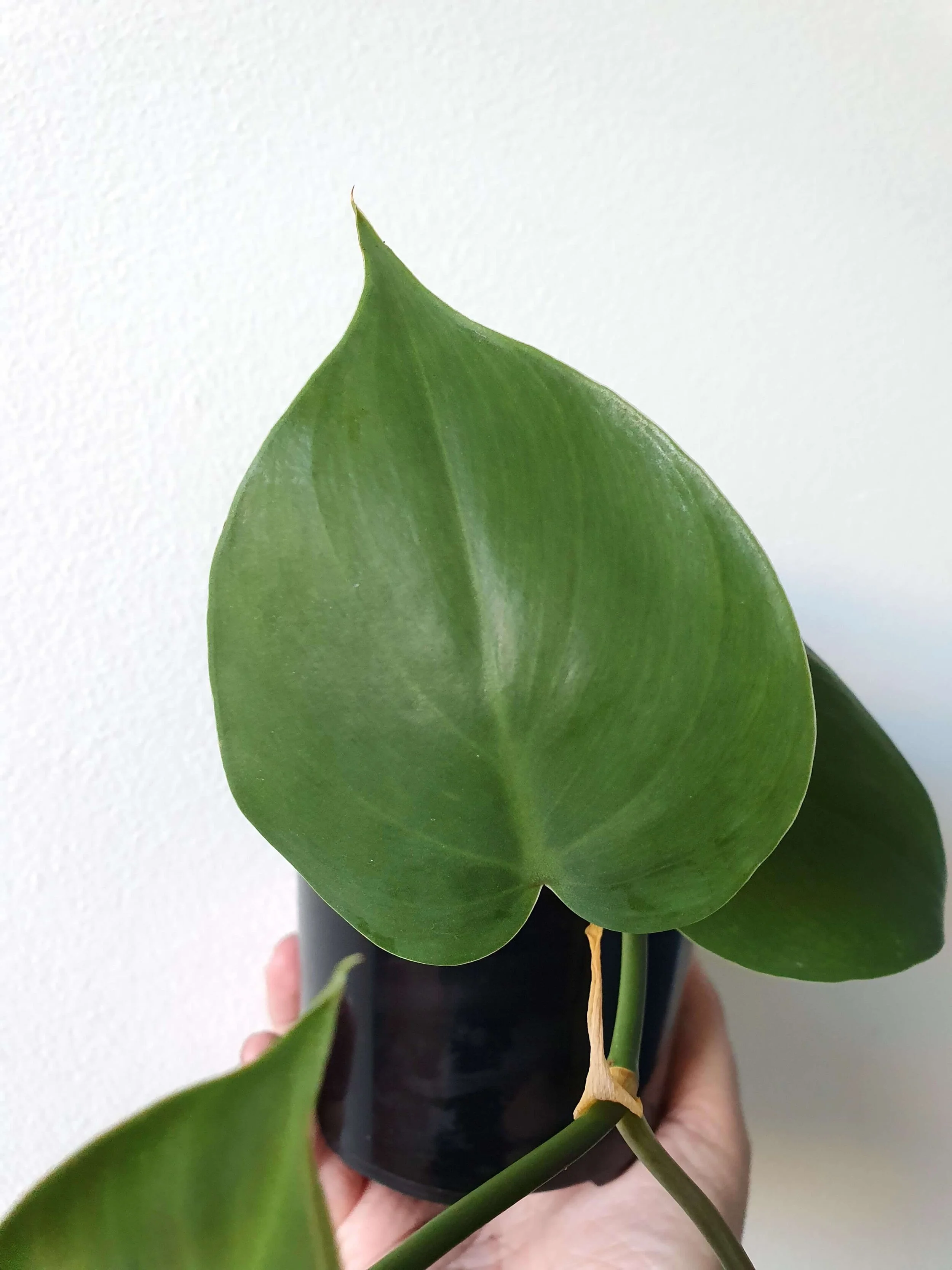 20190917_165546 copy.jpg