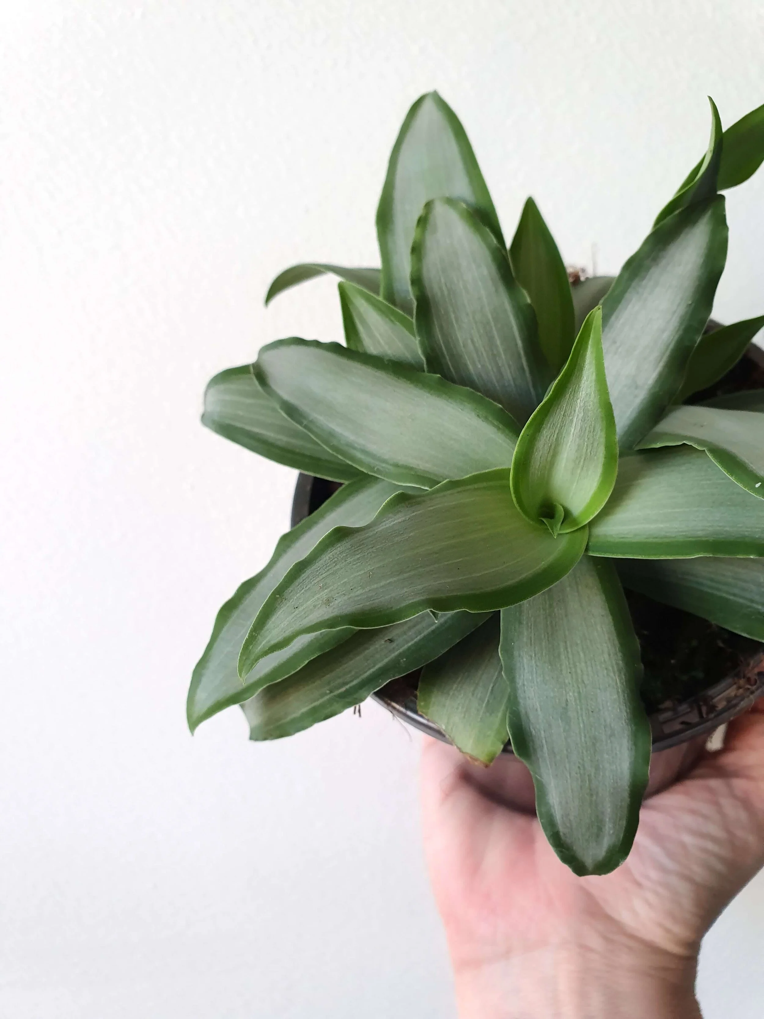 20190919_151101 copy.jpg