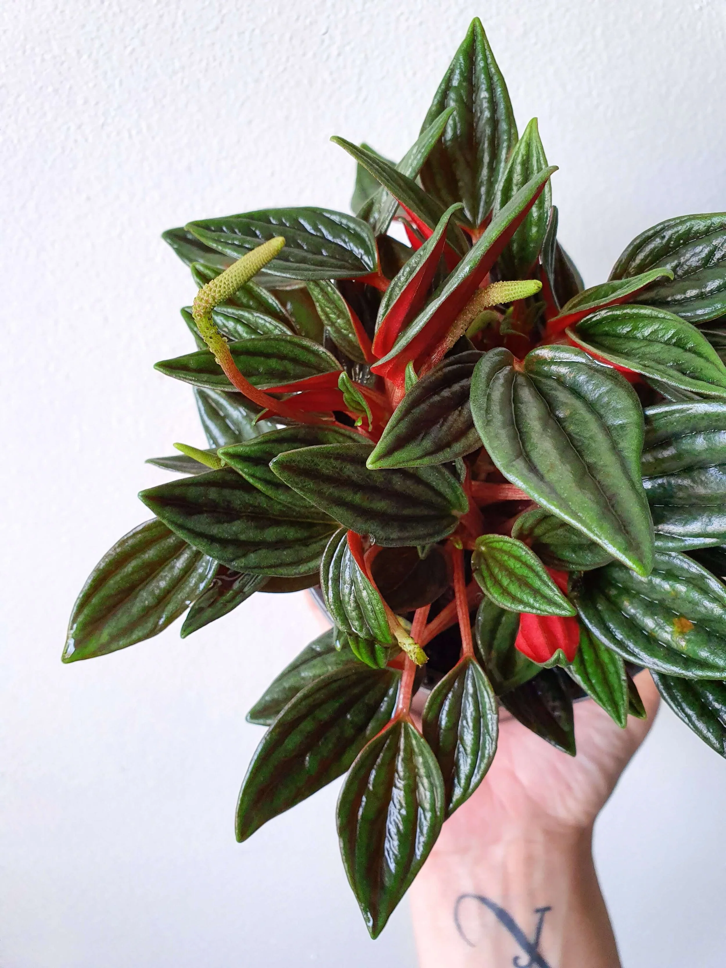 20191114_145315 copy.jpg