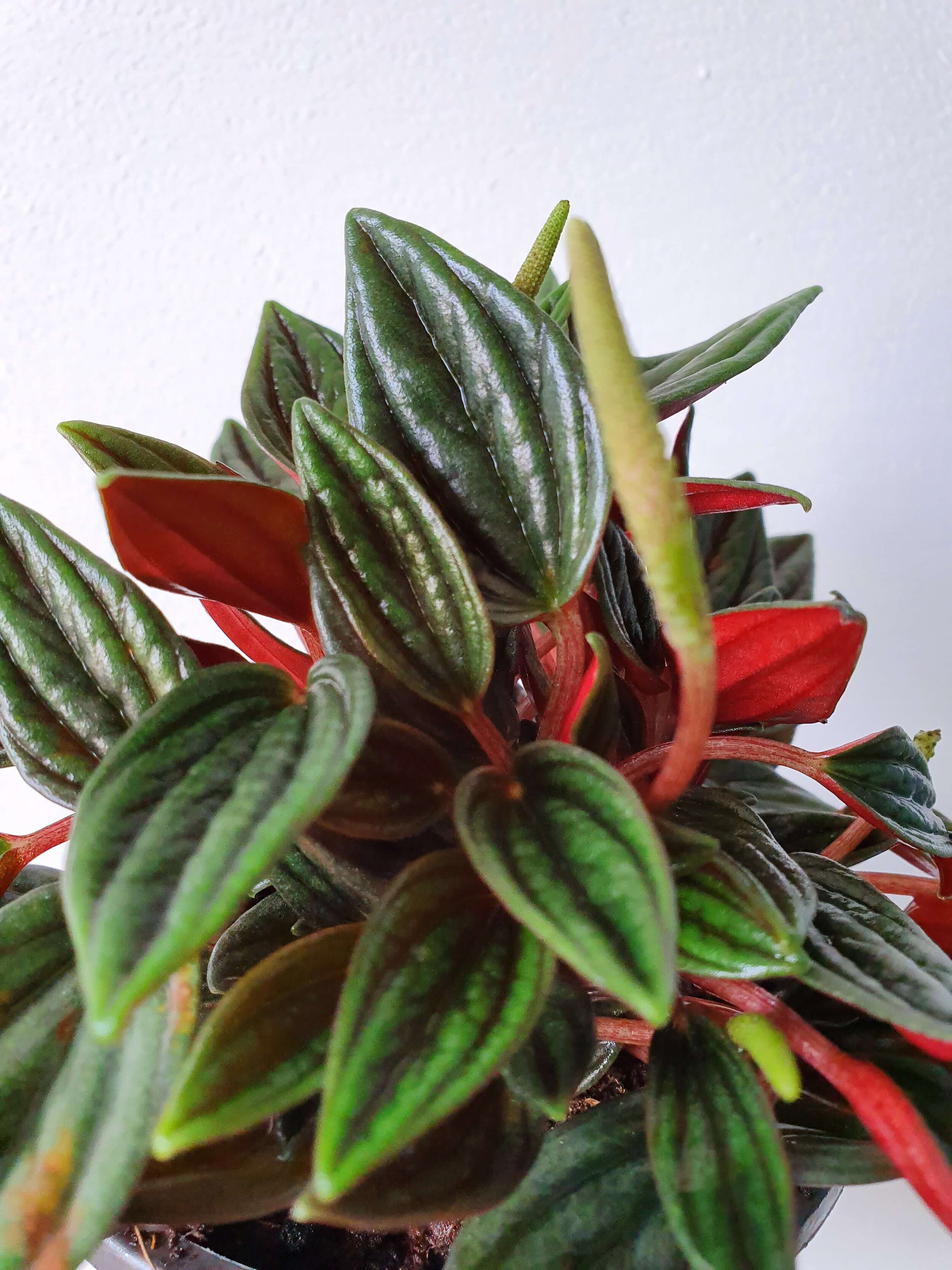 20191114_145330 copy.jpg