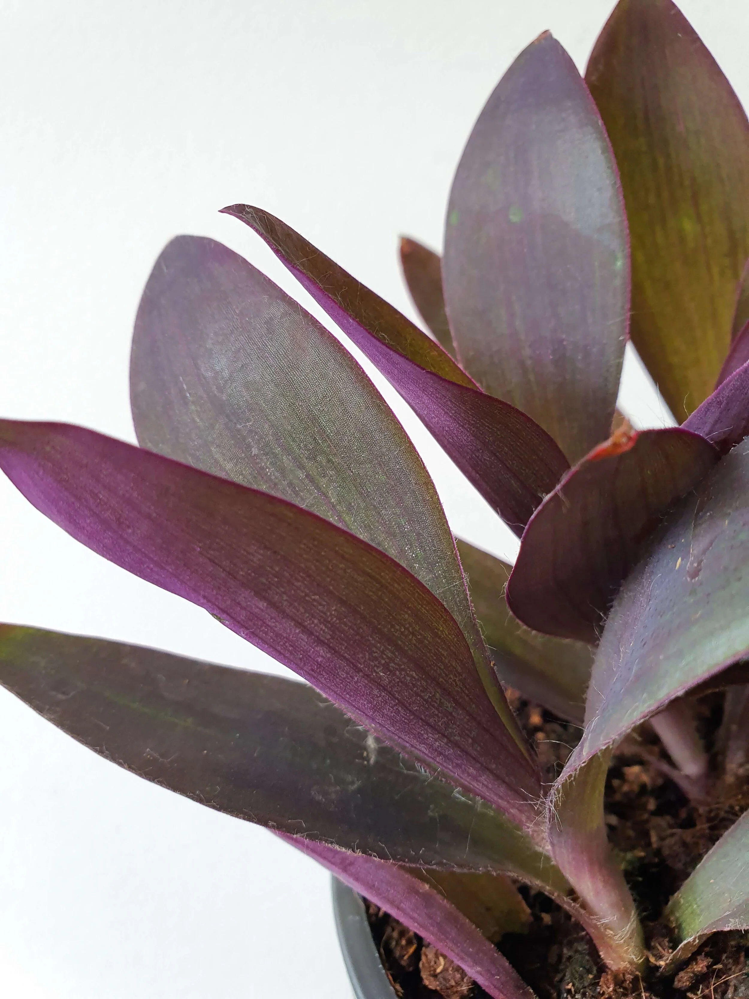 20190919_151118 copy.jpg