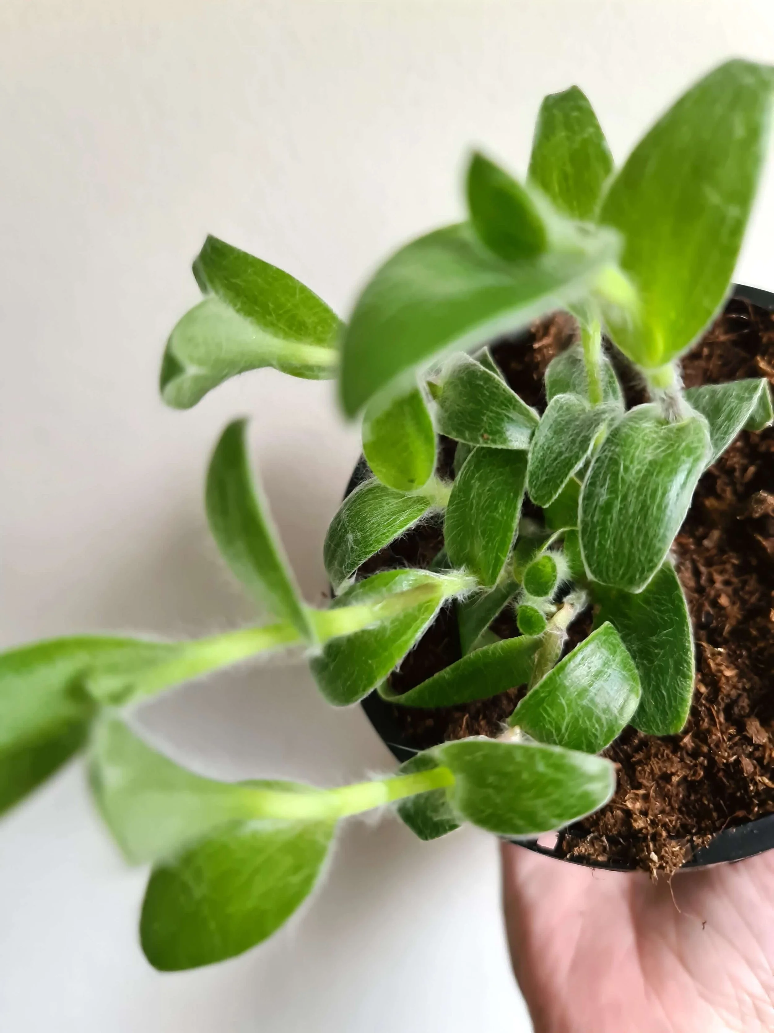 20190913_120440 copy.jpg