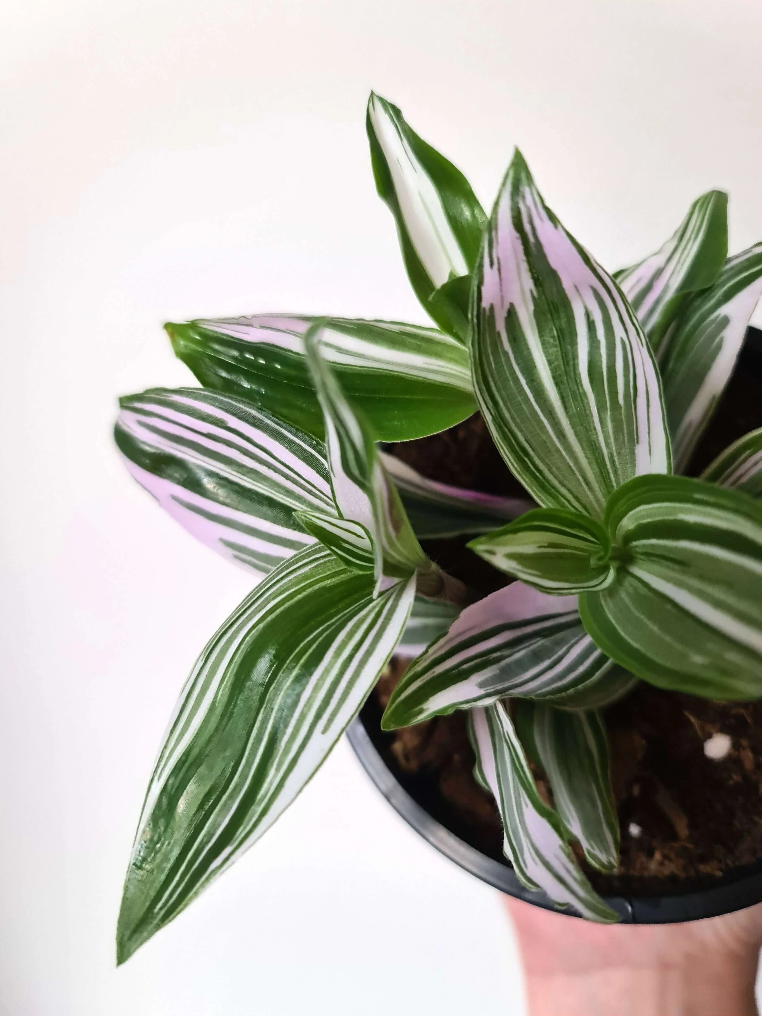 20200909_171850 copy.jpg