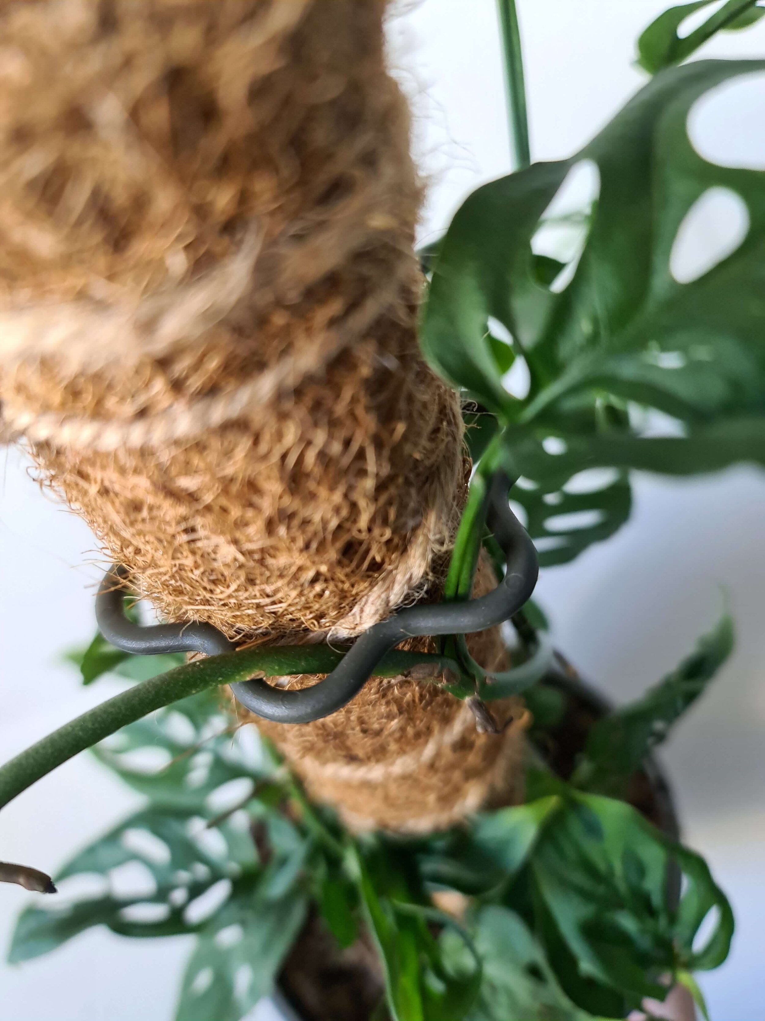 20200915_143645 copy.jpg