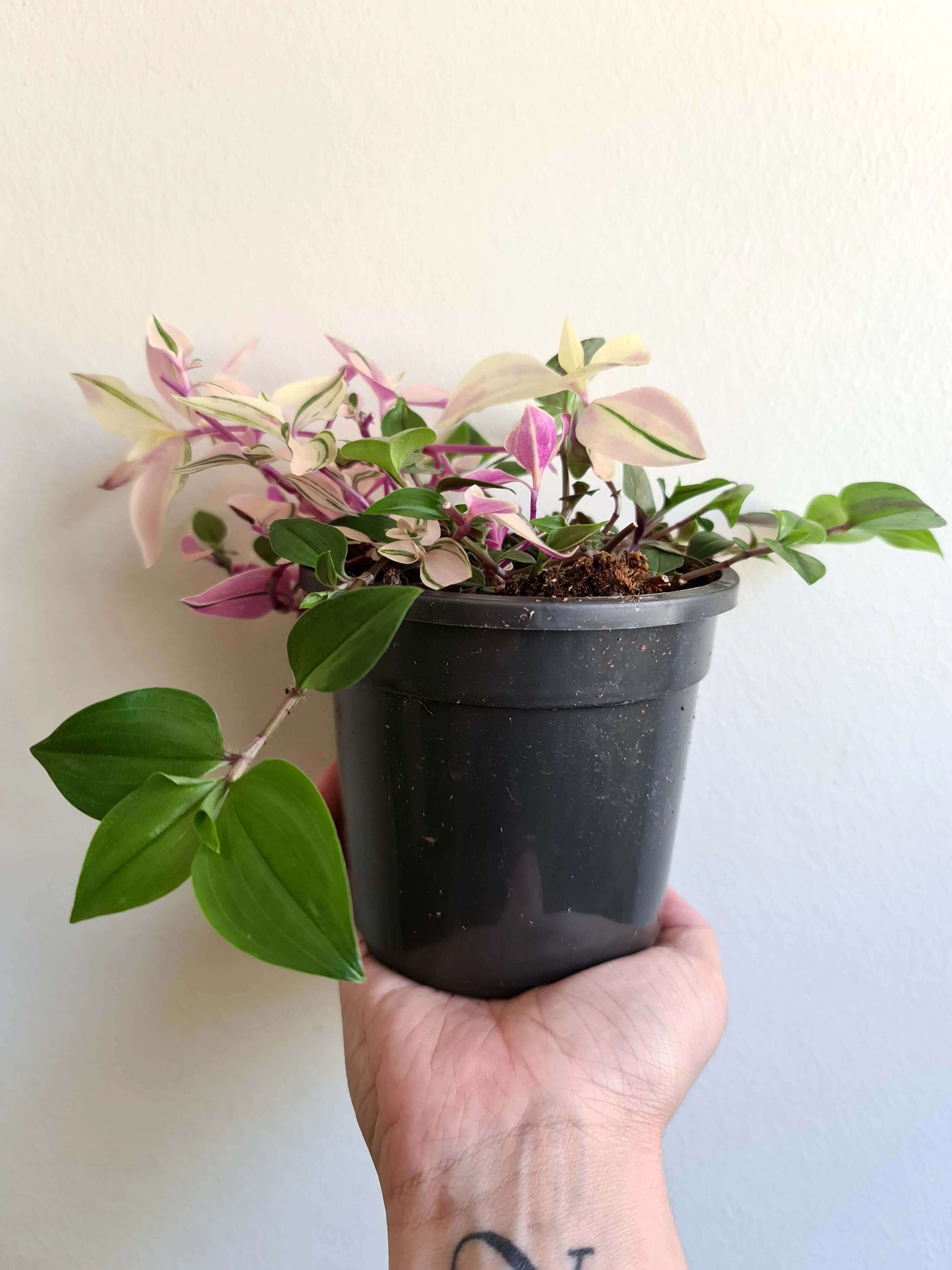 20181114_120031.jpg