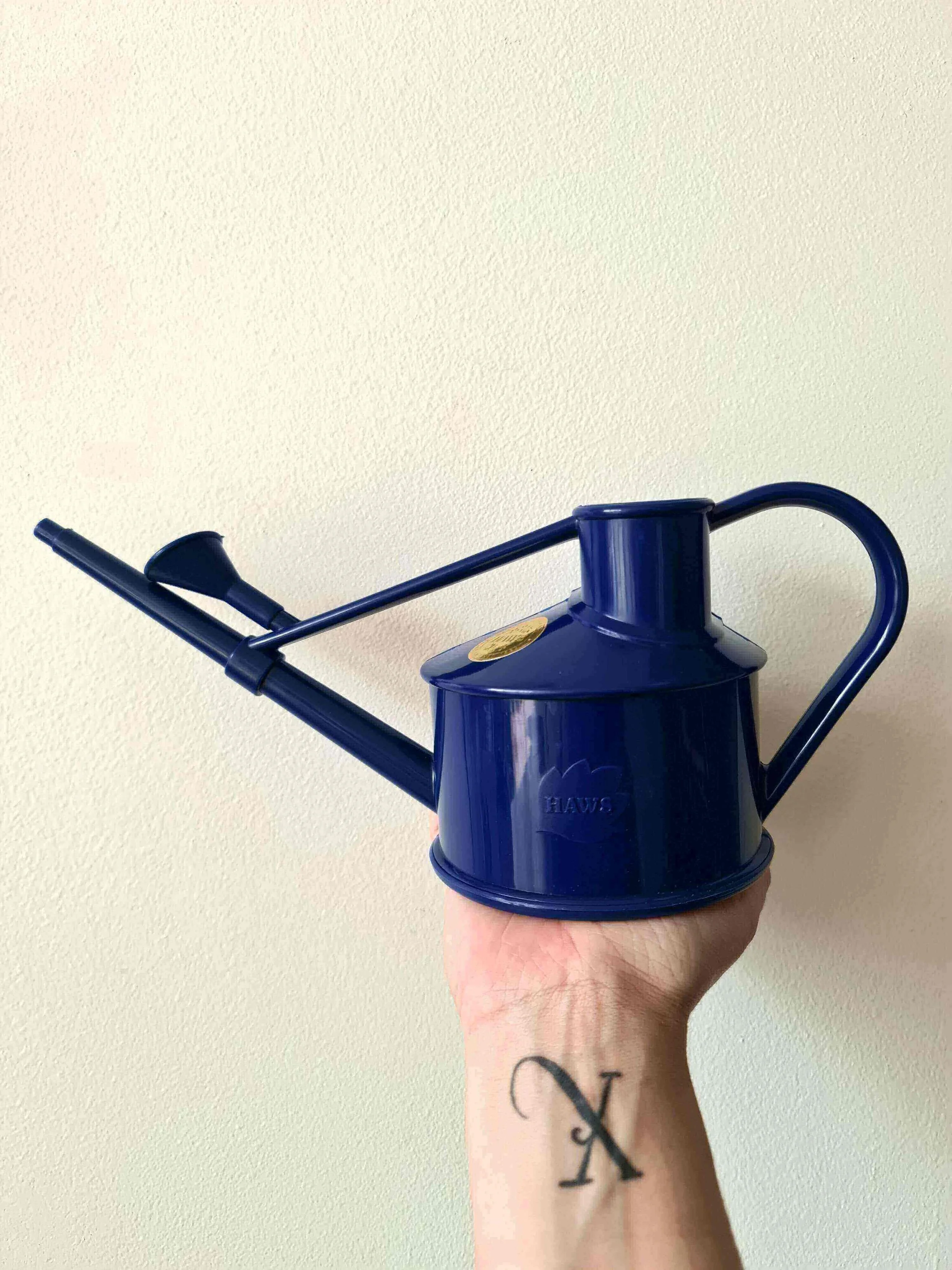 20200904_114522 copy.jpg