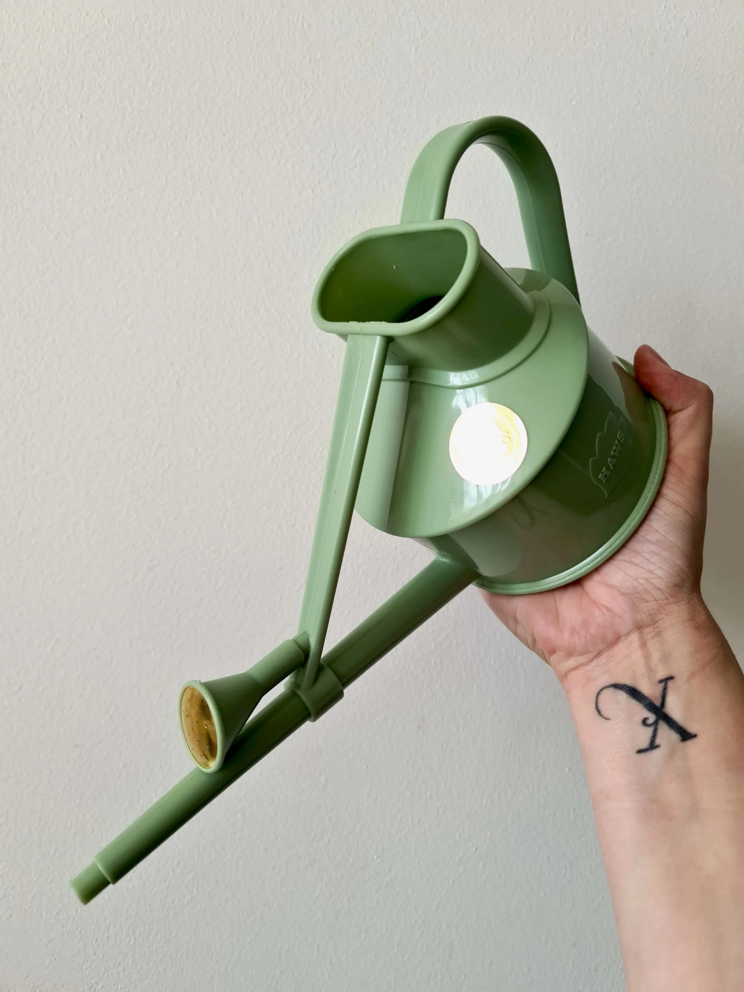 20201207_130506 copy.jpg