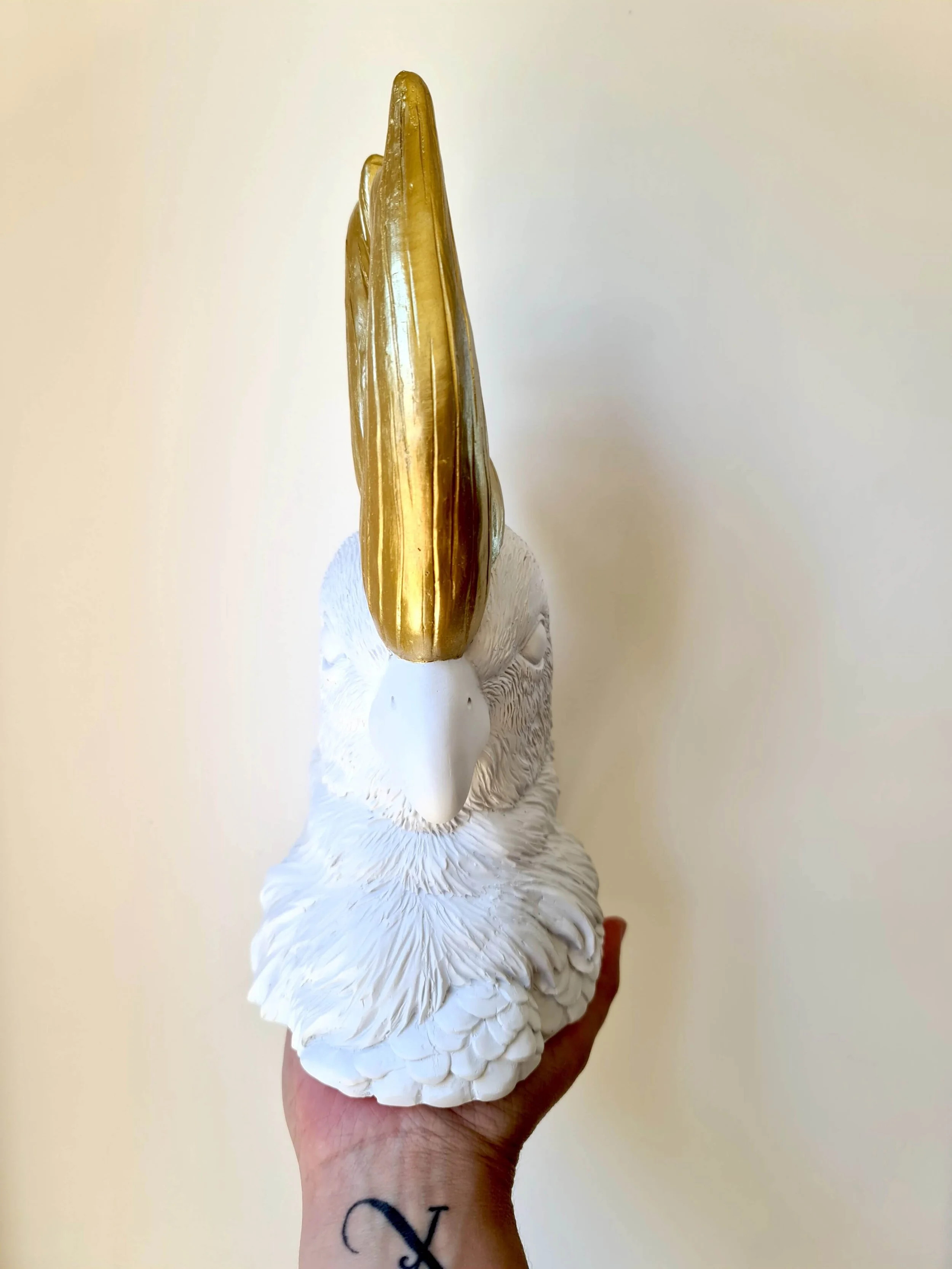 20210210_142615 copy.jpg