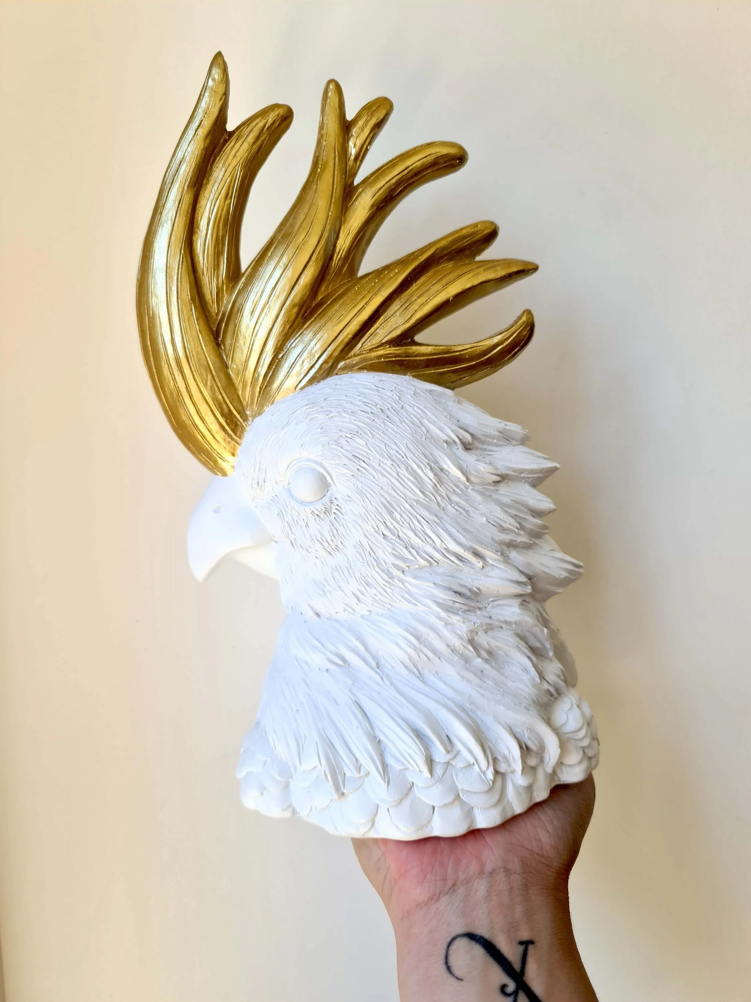 20210210_142625 copy.jpg