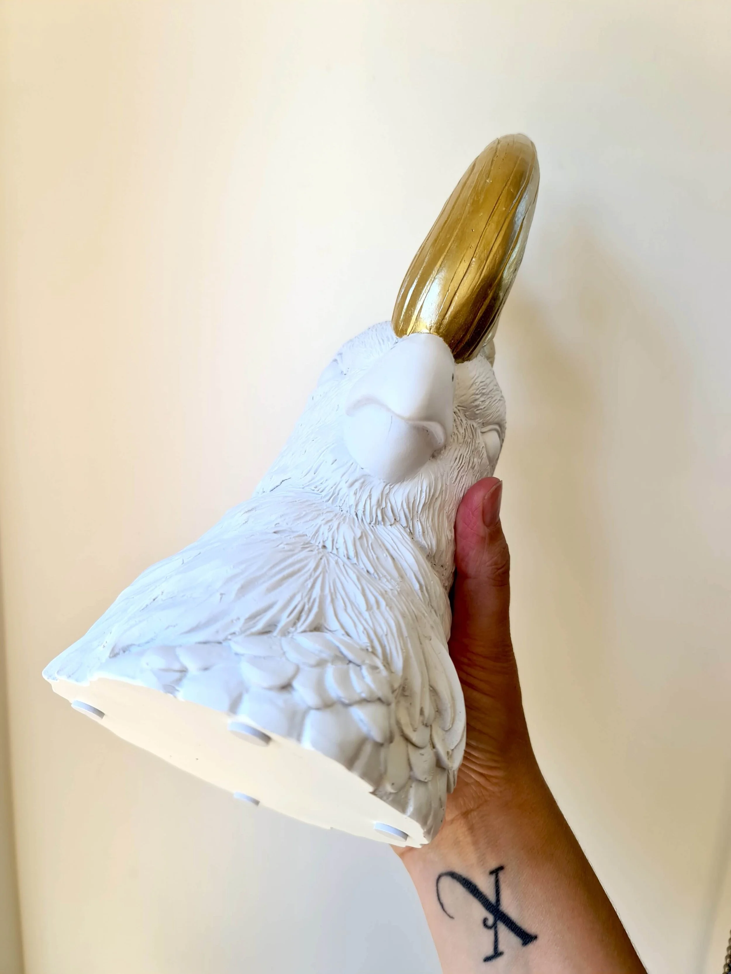 20210210_142635 copy.jpg