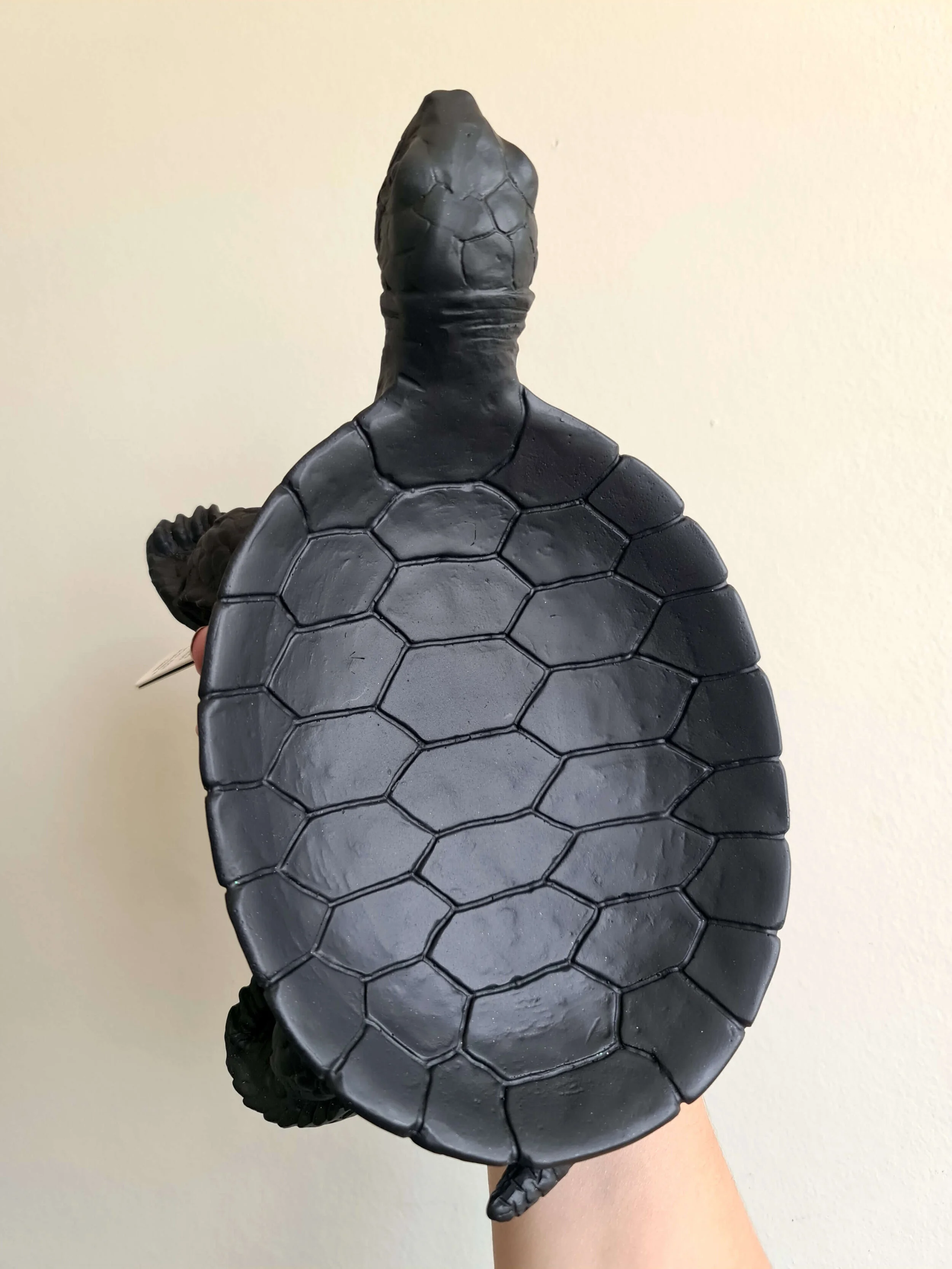 20210219_133501 copy.jpg