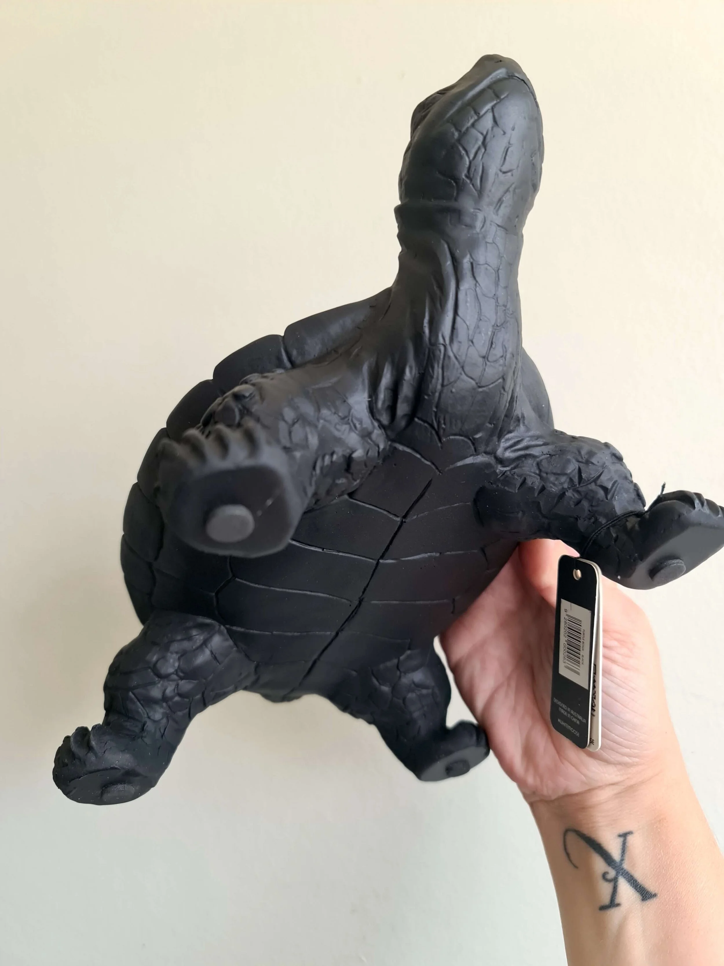 20210219_133522 copy.jpg