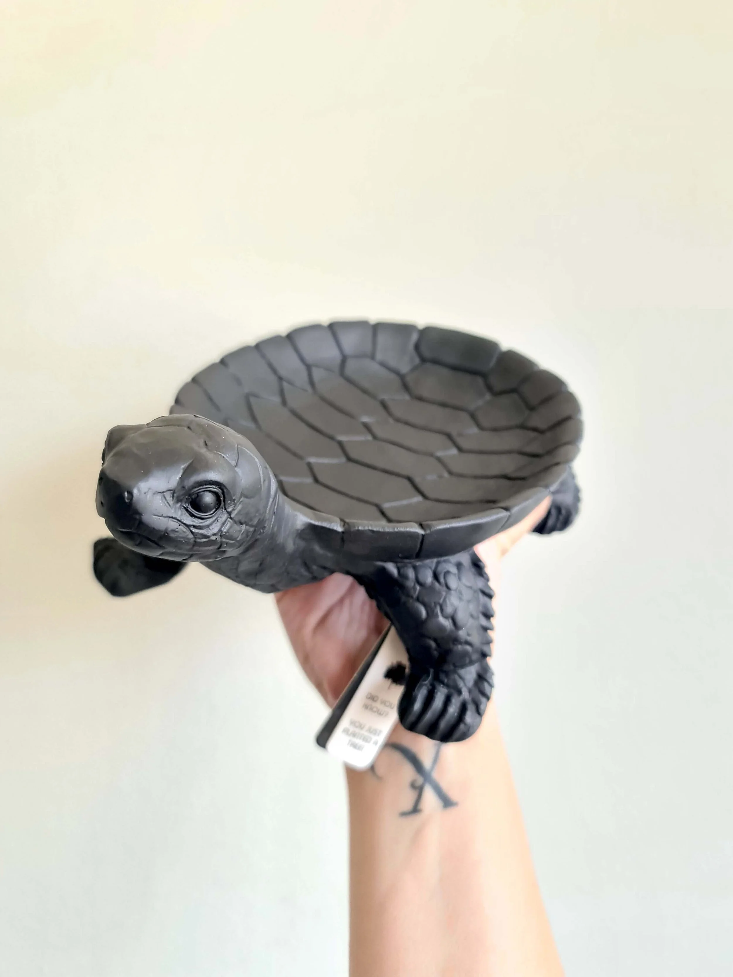 20210219_133442 copy.jpg