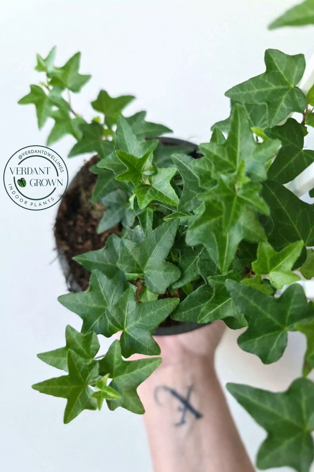 ChatGPT Image Mar 19, 2026, 04_23_51 PM.png