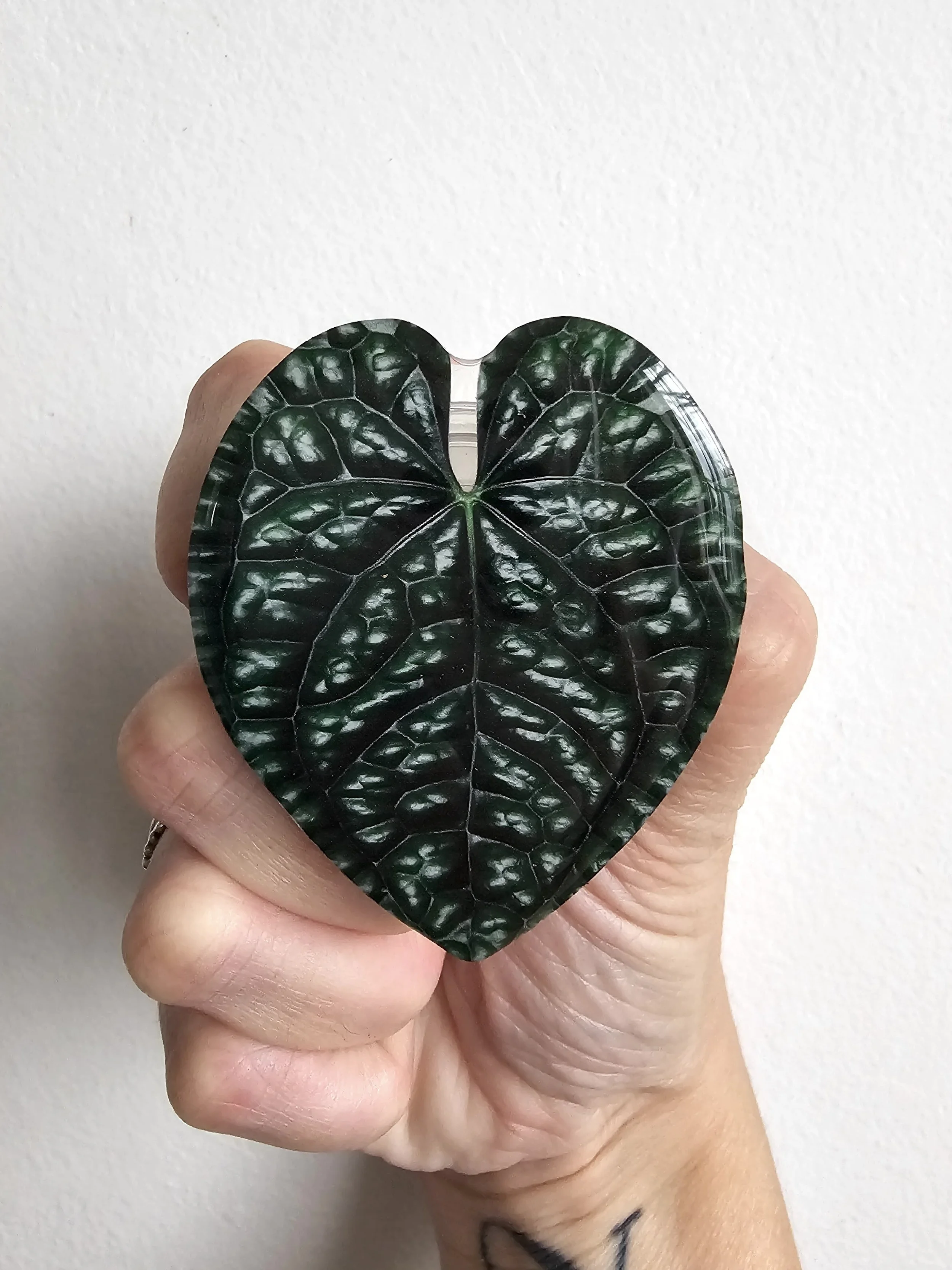 Leaf Image Phone Pop Grip — Verdant Dwellings