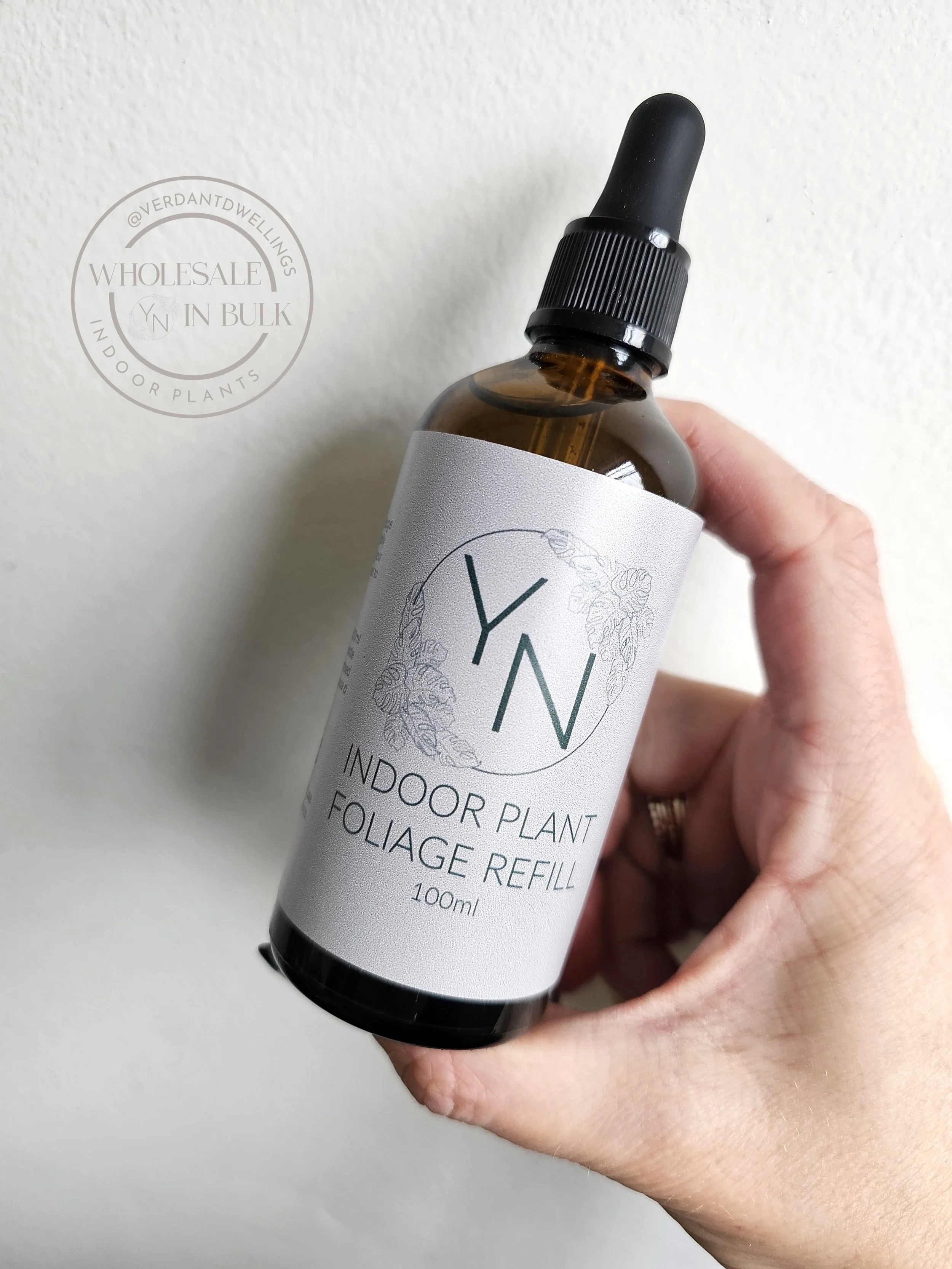 Indoor Plant Foliage Refill