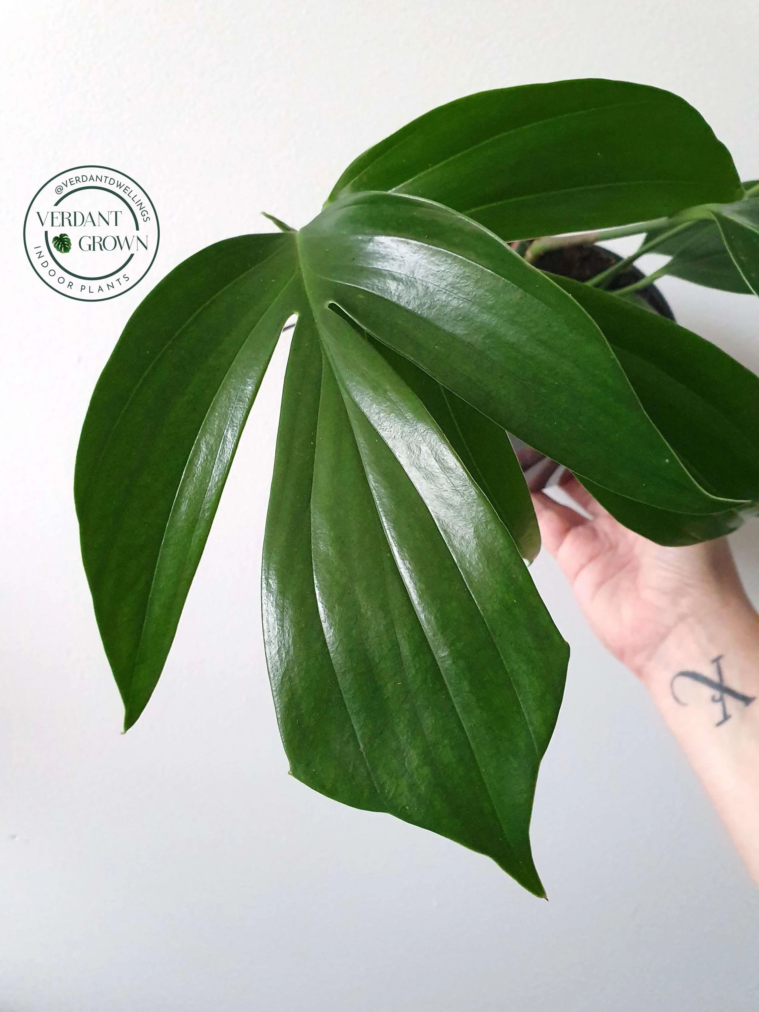 20190809_102821 copy.jpg