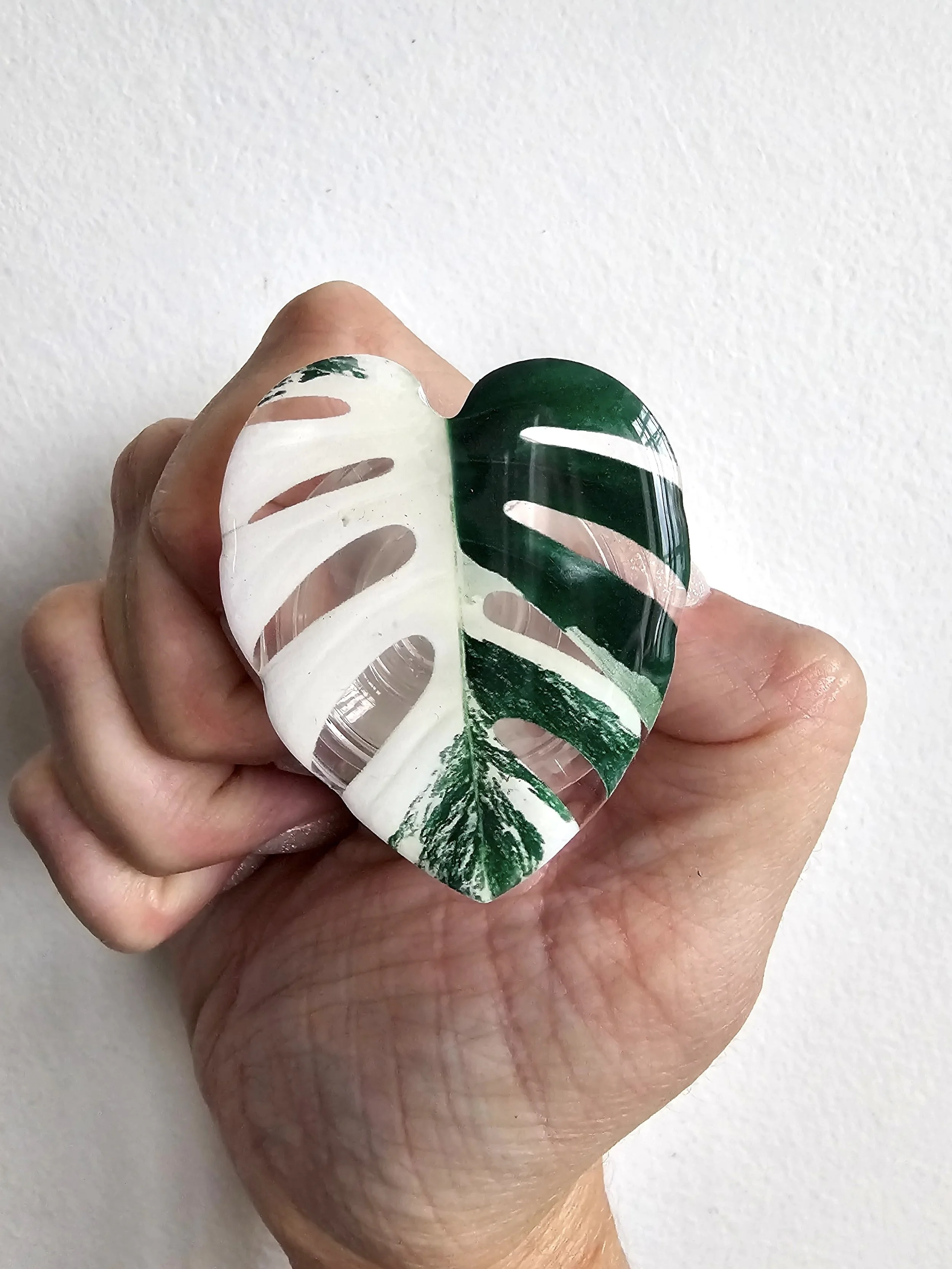 Leaf Image Phone Pop Grip — Verdant Dwellings