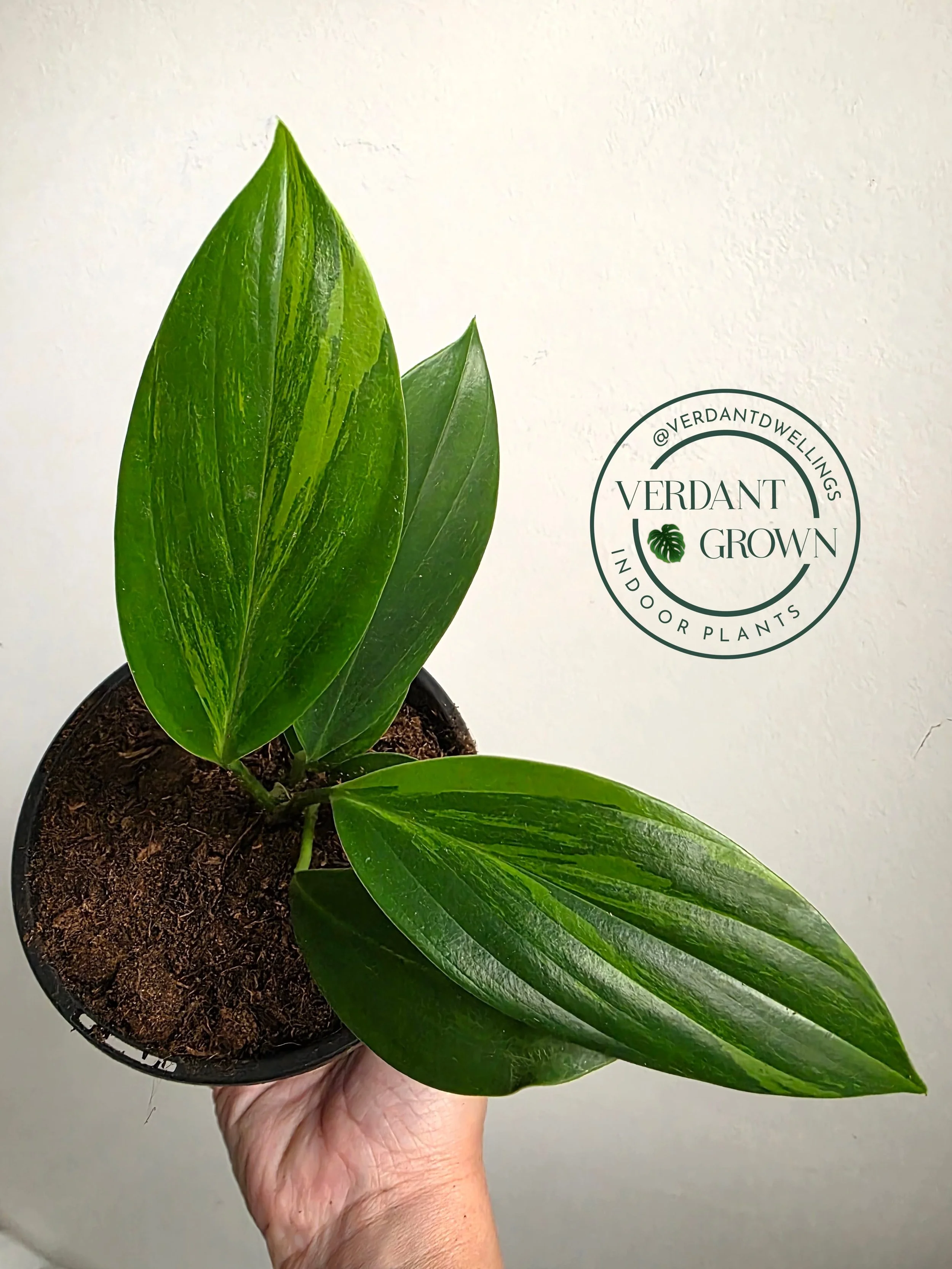 20260320_135056 copy.jpg