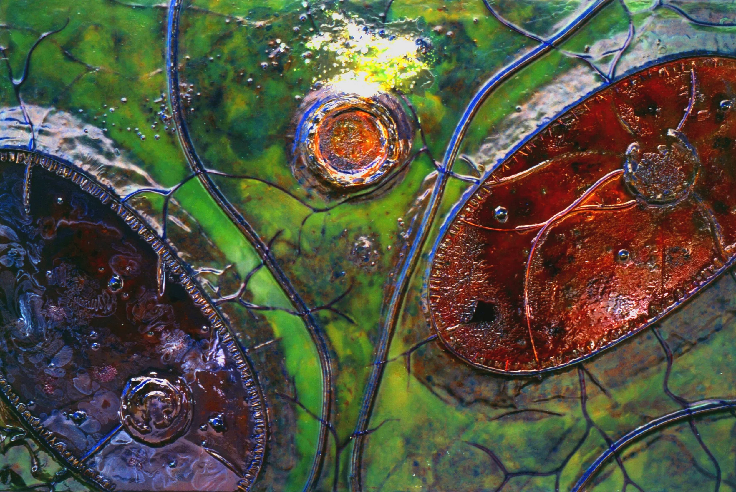    Specimen VIII    Mixed-media on wood  24”H x 36”W x 5”D  2010  $1500.00  ©2010 RRFAD 