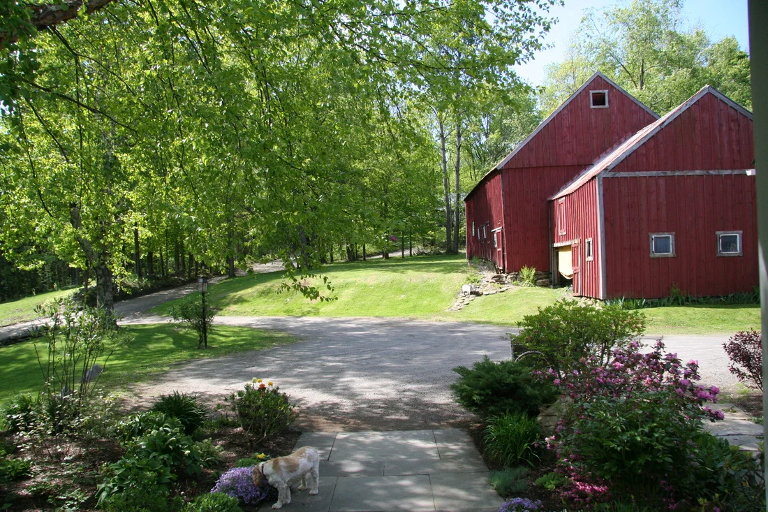 3374925_orig.jpg