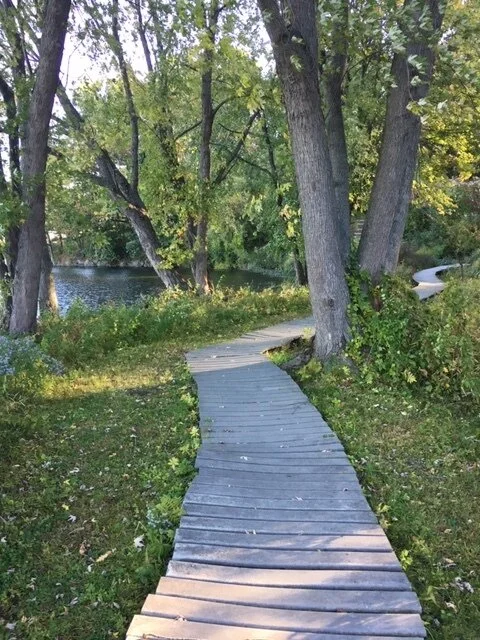 Psychosynthesis &amp; Days of Awe