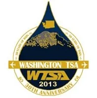 2013pin.jpg