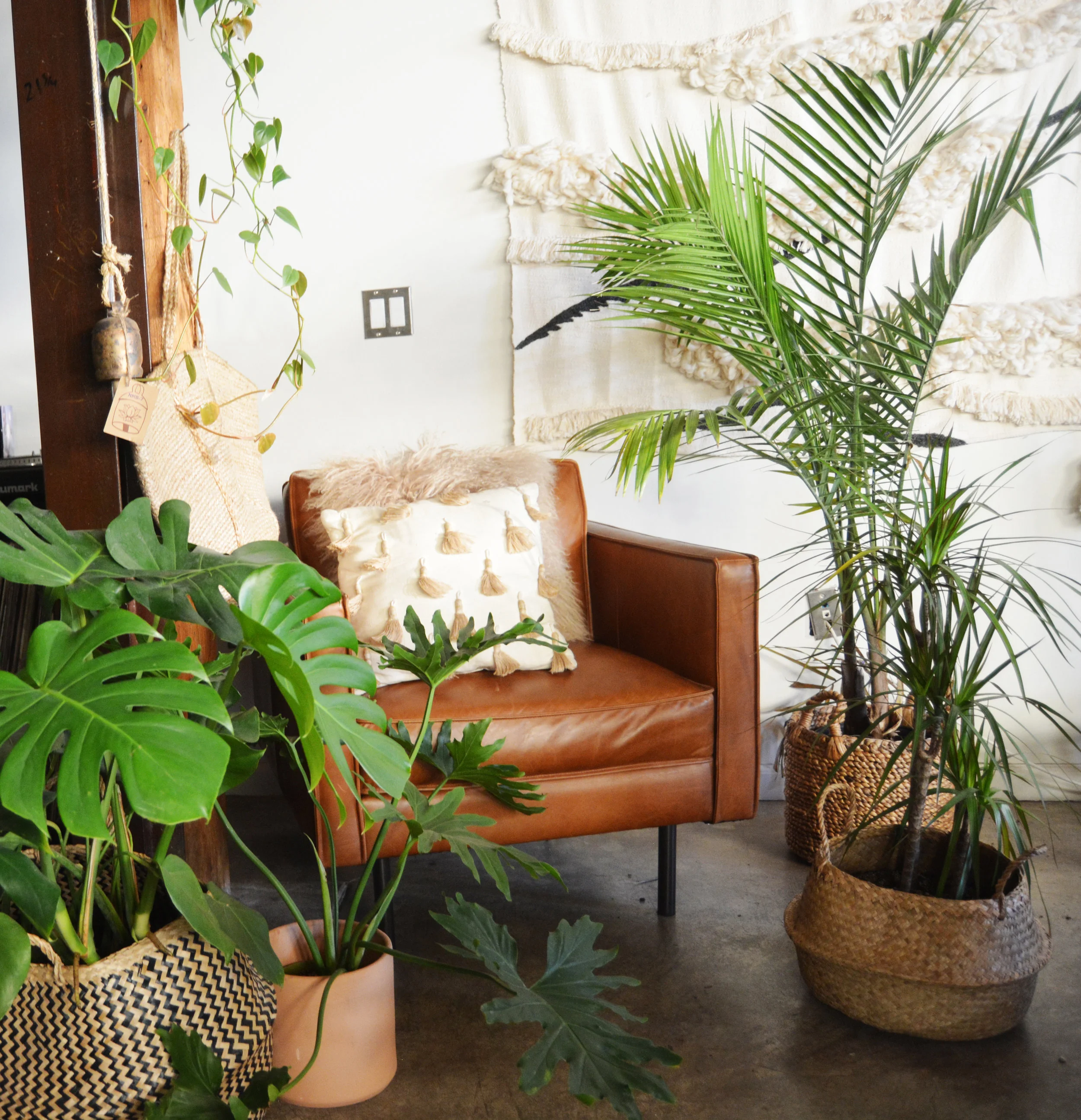 livingroom1_CROP.jpg
