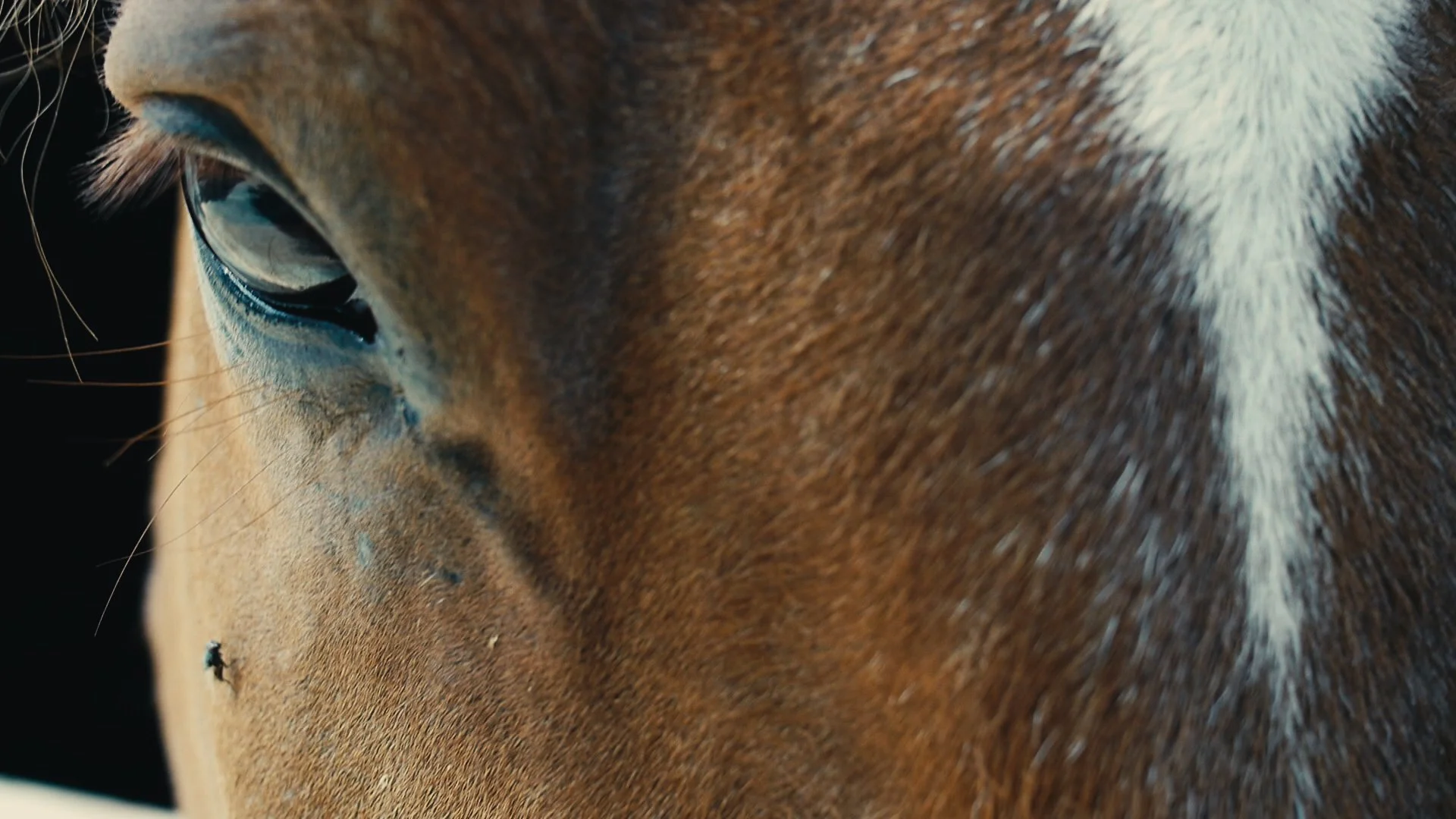 Oraib Toukan Offing 2.jpg