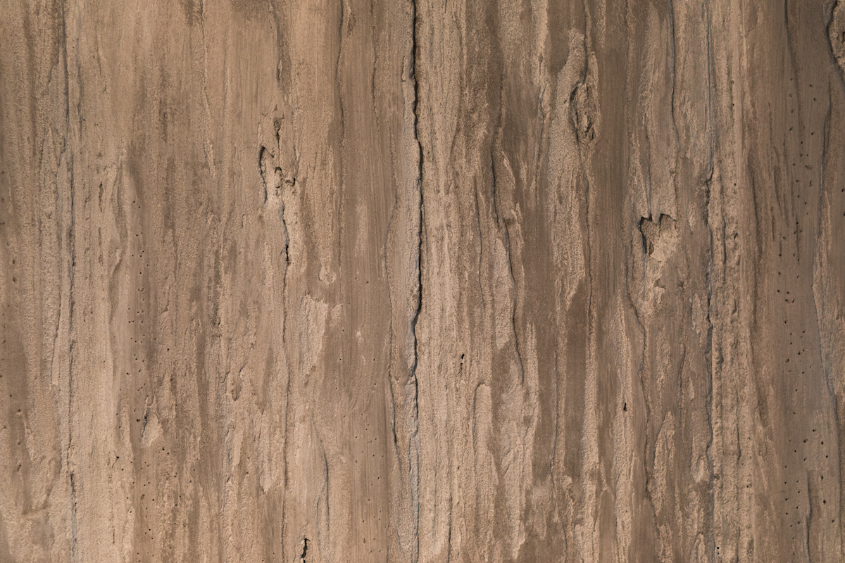 Petrified Wood Finsih C.jpg
