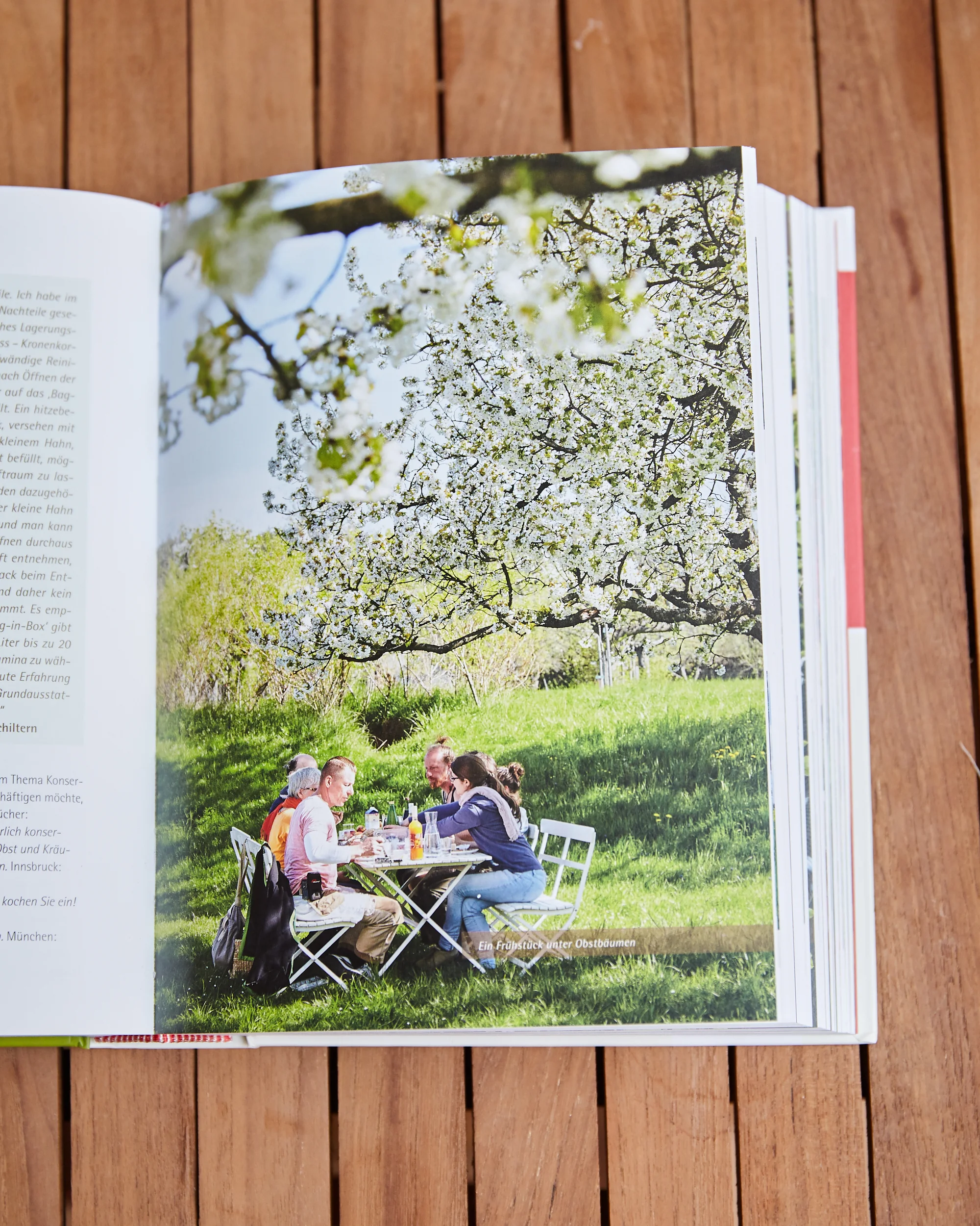Obstbuch-IMG_7026.jpg