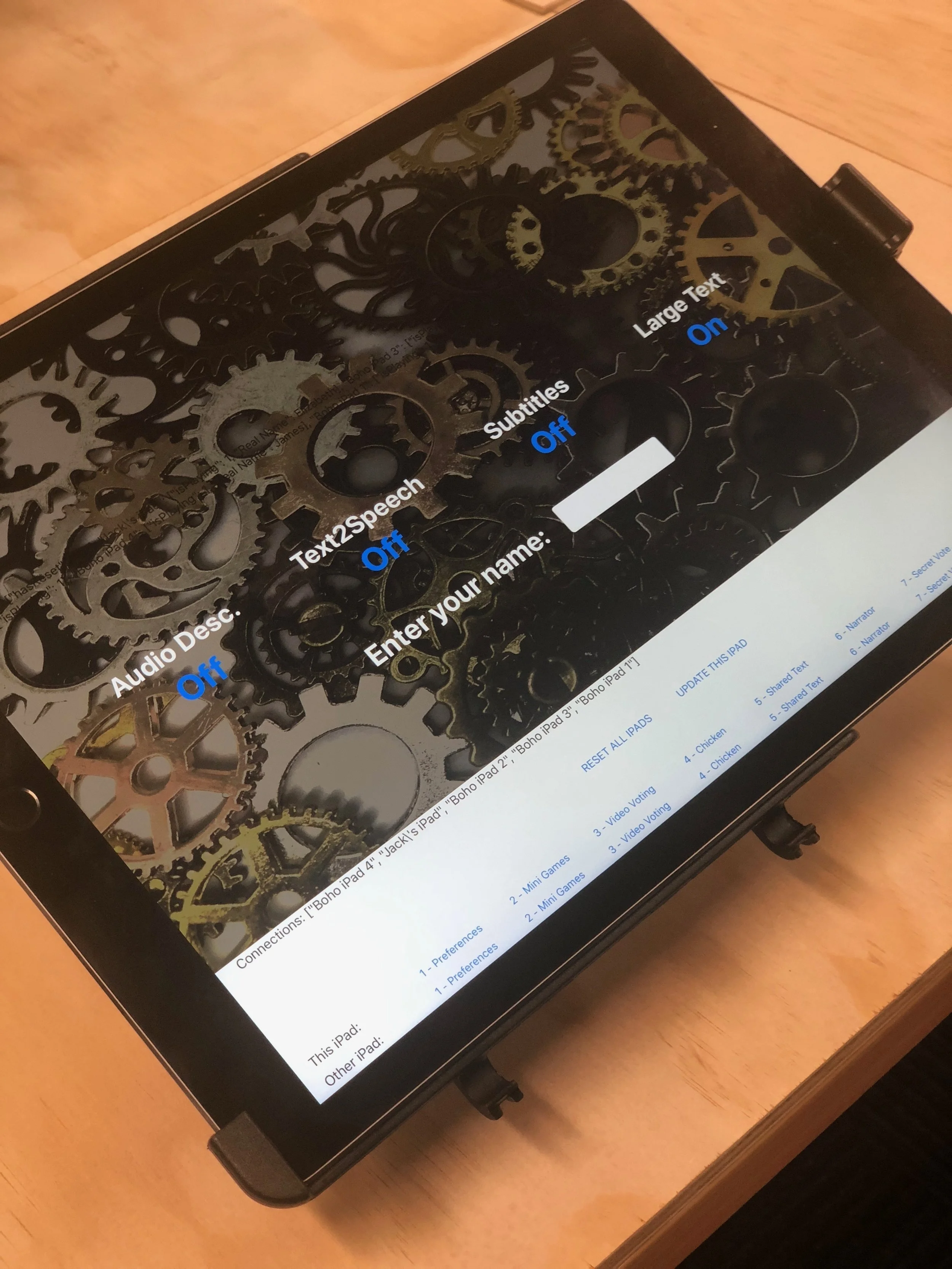 accessibility boho.JPG