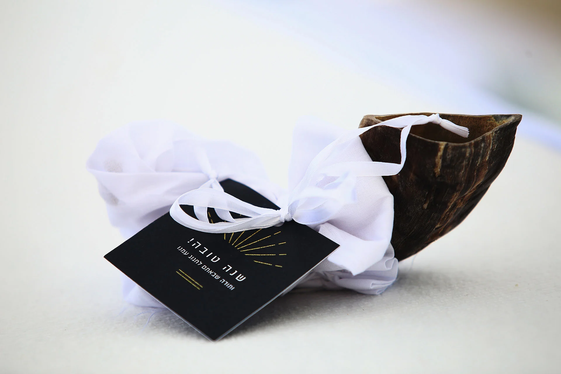  Design - Daniella Segenreich Photography - Kobi Bachar 