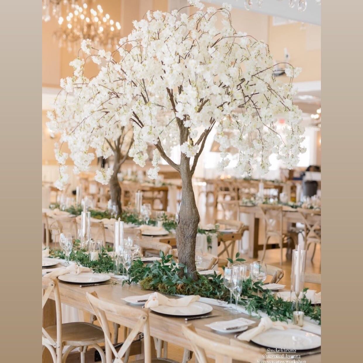 Enchanted @bearbrookvalley @jilllynnphotography #weddingreceptionideas #wedding #tallcenterpieces #enchantedforest #love #farmtable #weddingflowers