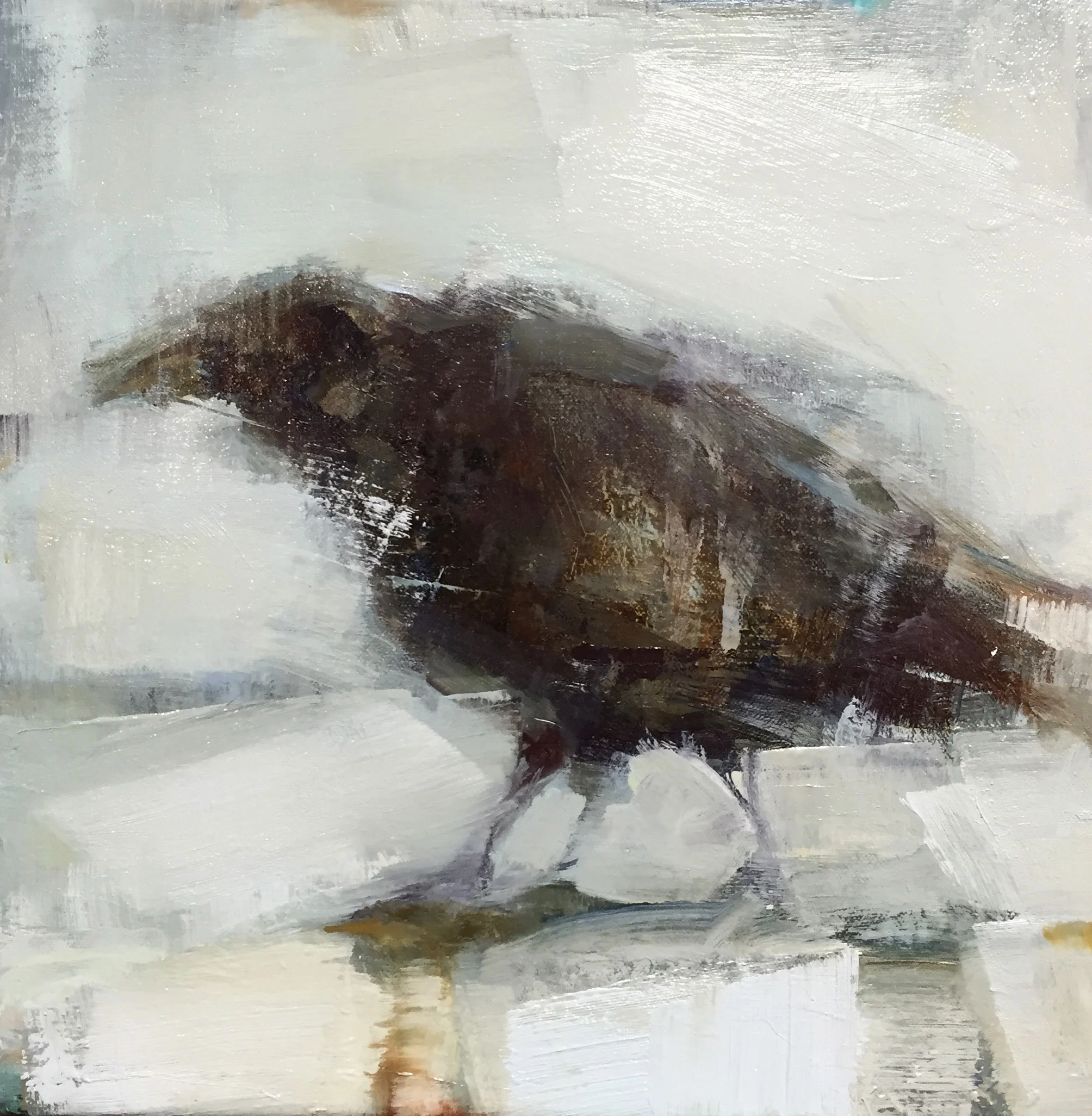 BlackBird_10x10inches_oiloncanvas_sold.jpg