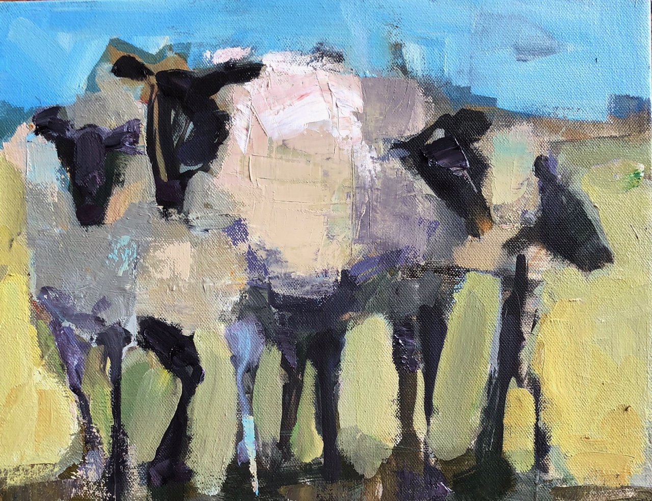 WILD AND WOOLY<BR>11 X 14 IN / OIL ON CANVAS<BR><BR>AVAILABLE