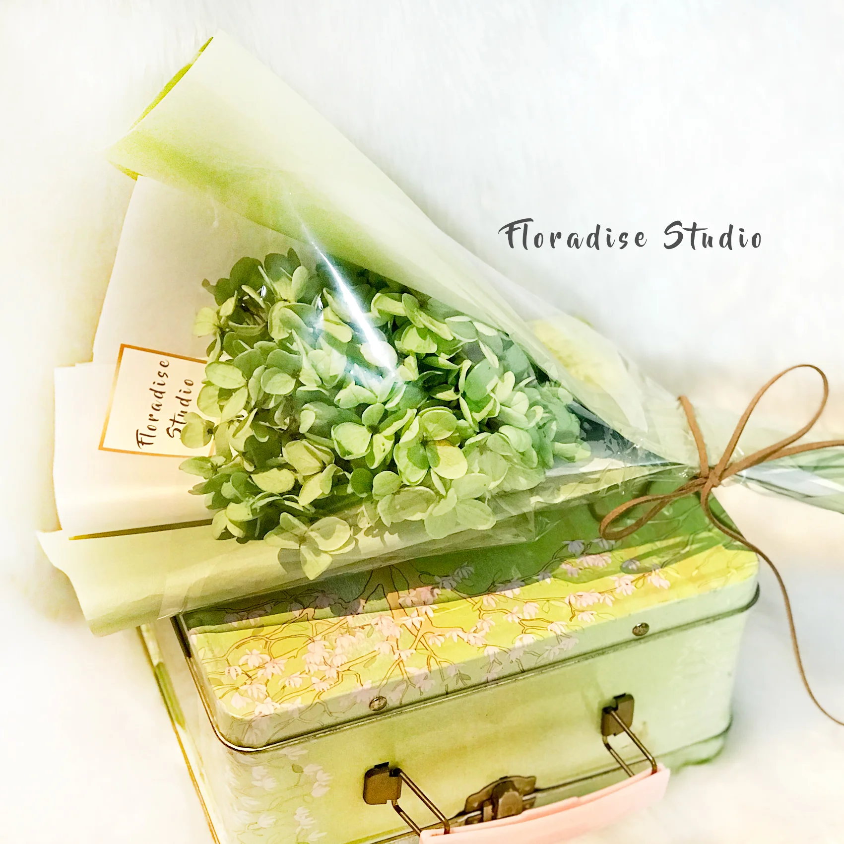 green hydrangea