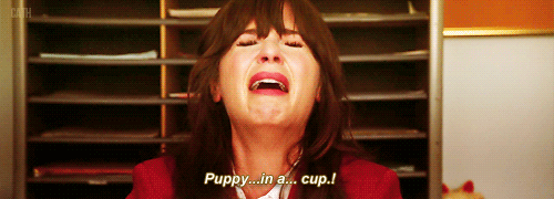 puppycup.gif