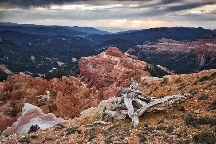 utah.gif