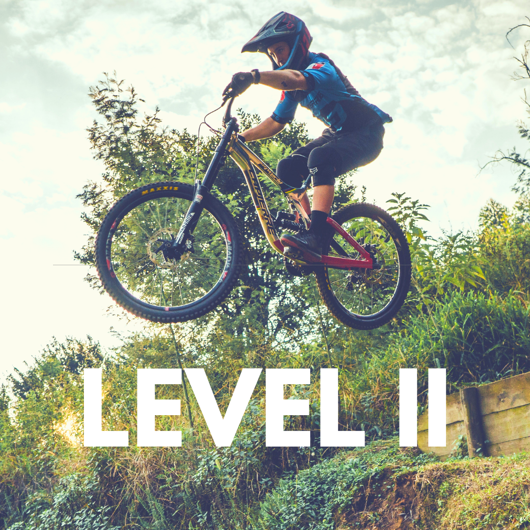 LEVEL 2 Tune Up