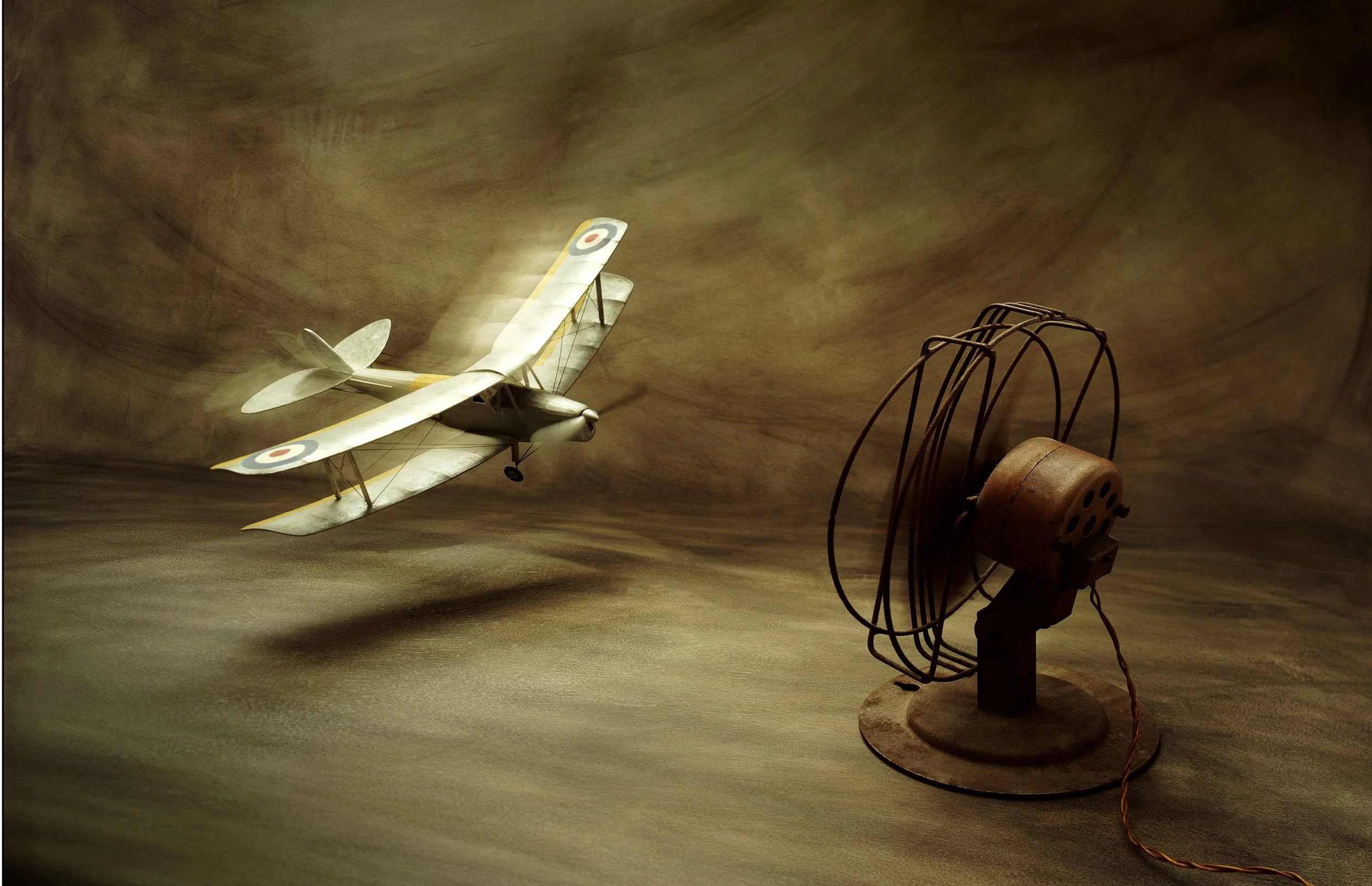 PLANEFAN (2).jpg