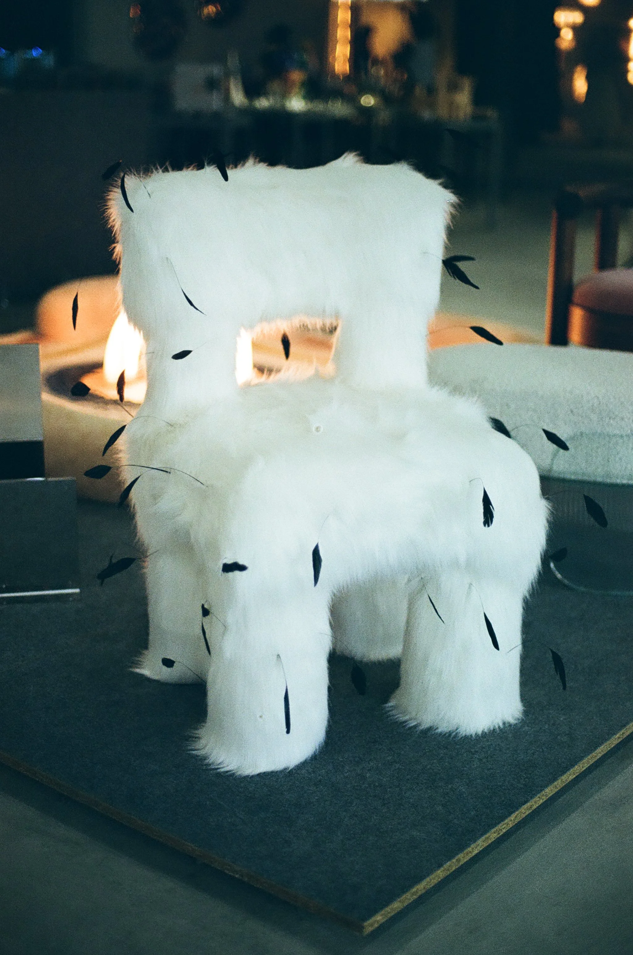 0034_33A.jpg