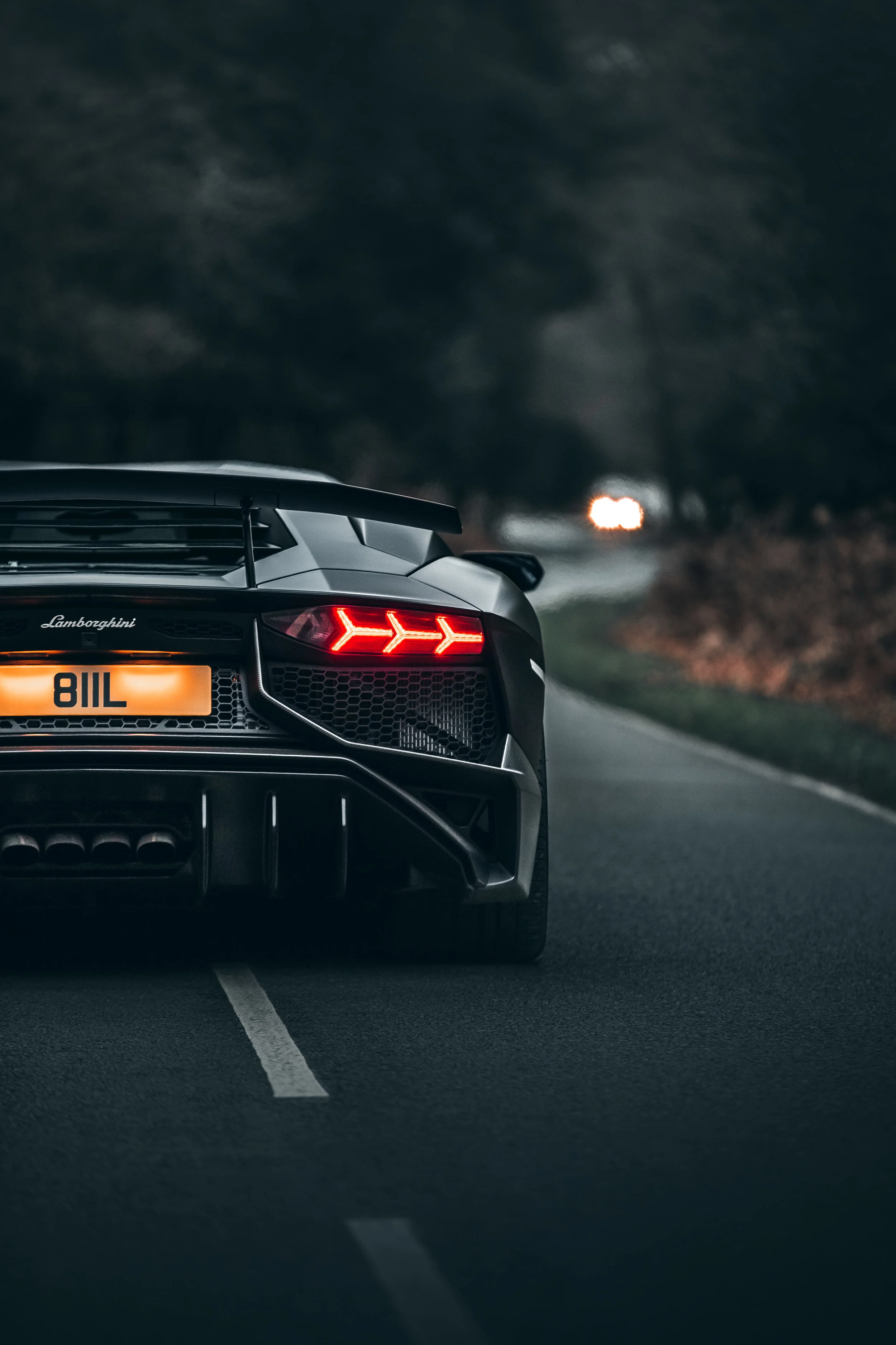 Lamborghini Aventador SV-18.jpg