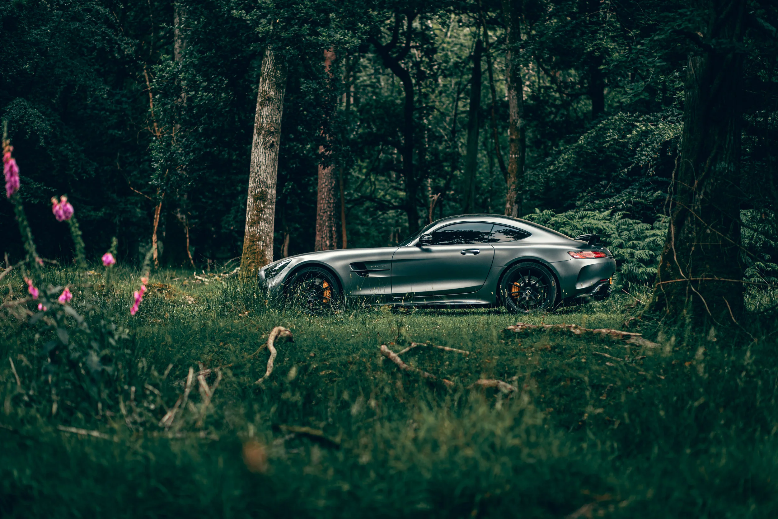 Mercedes AMG GTR-33.jpg