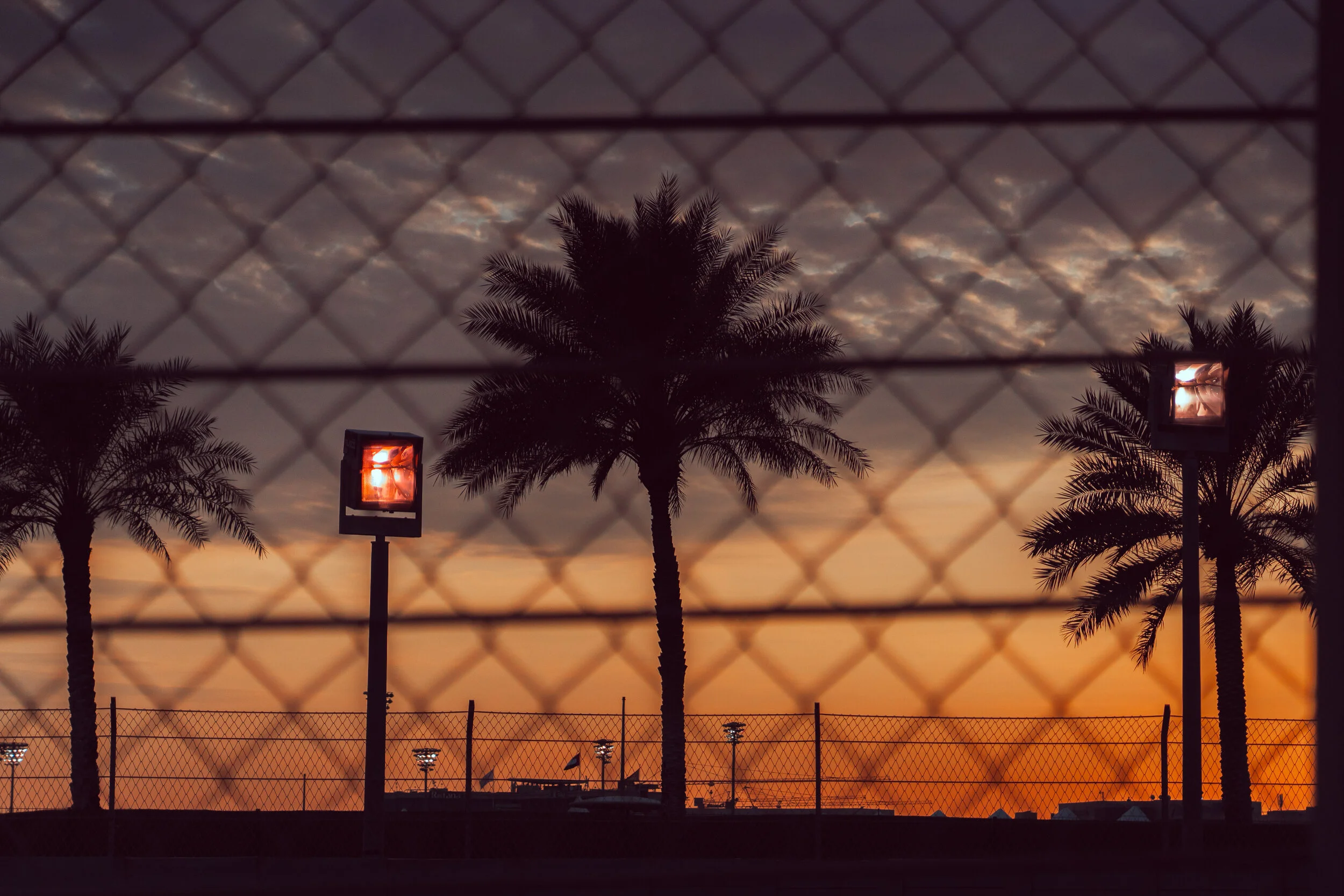 David Whitmore - Abu Dhabi-225.jpg