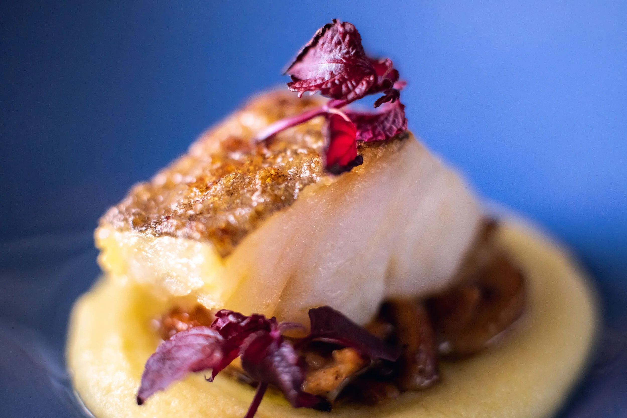 Radio Rooftop & STK Milan-201.jpg